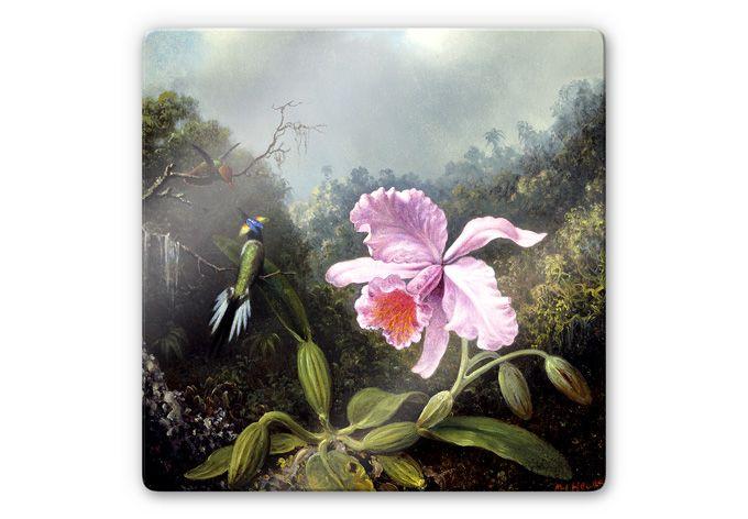 Glasschilderij Heade - Stilleven met Orchidee