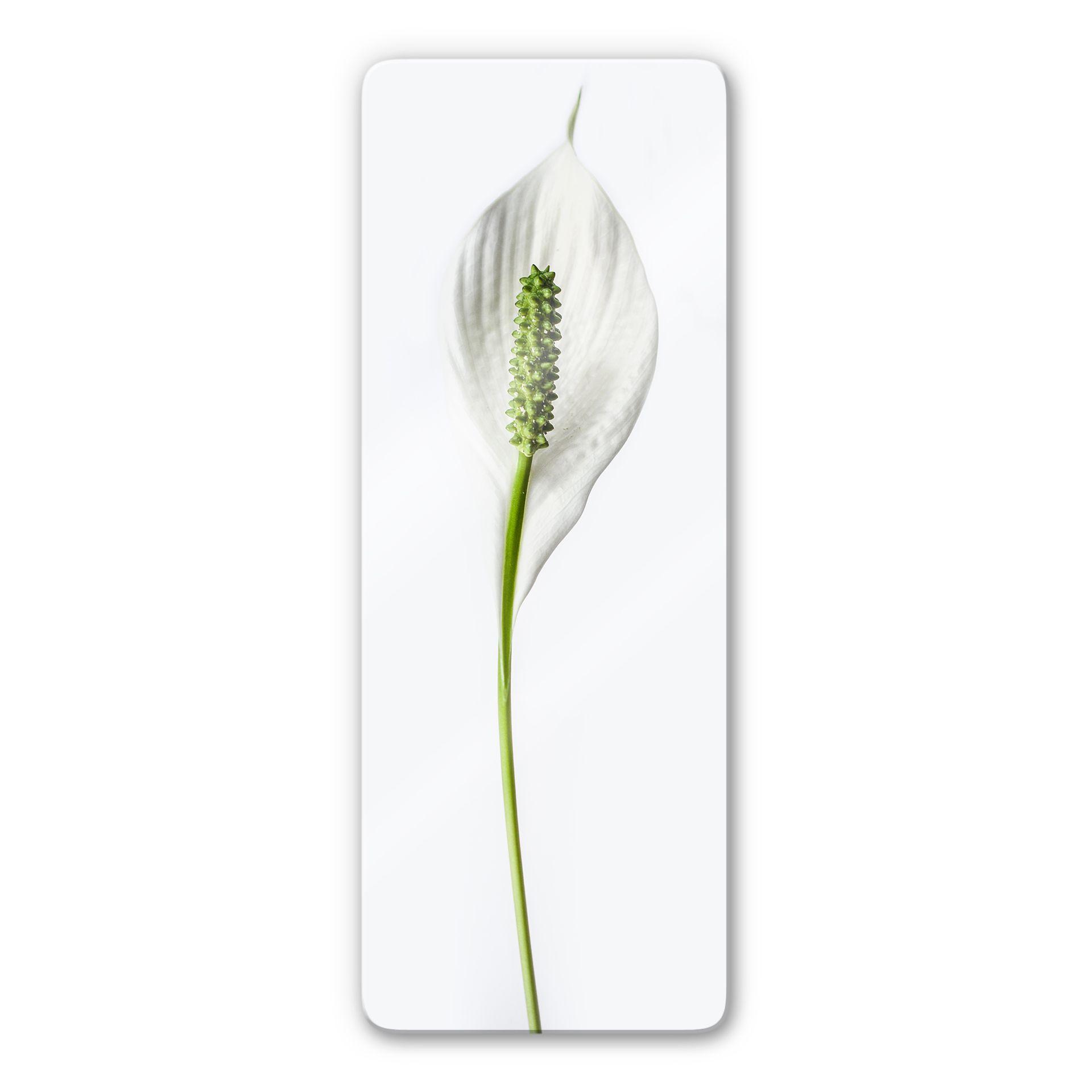 Glasschilderij Peace Lily