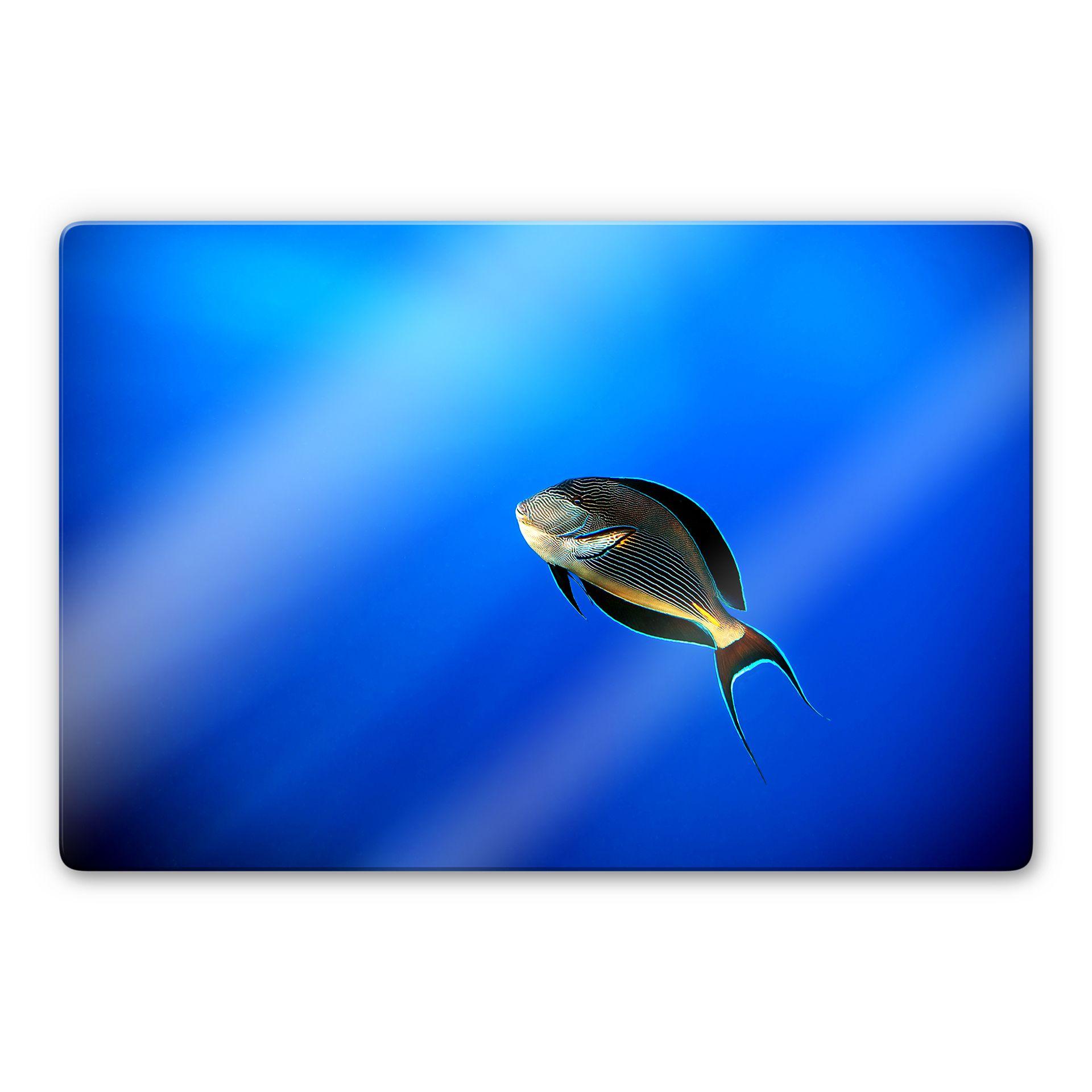 Glasschilderij Catta - Deep Ocean