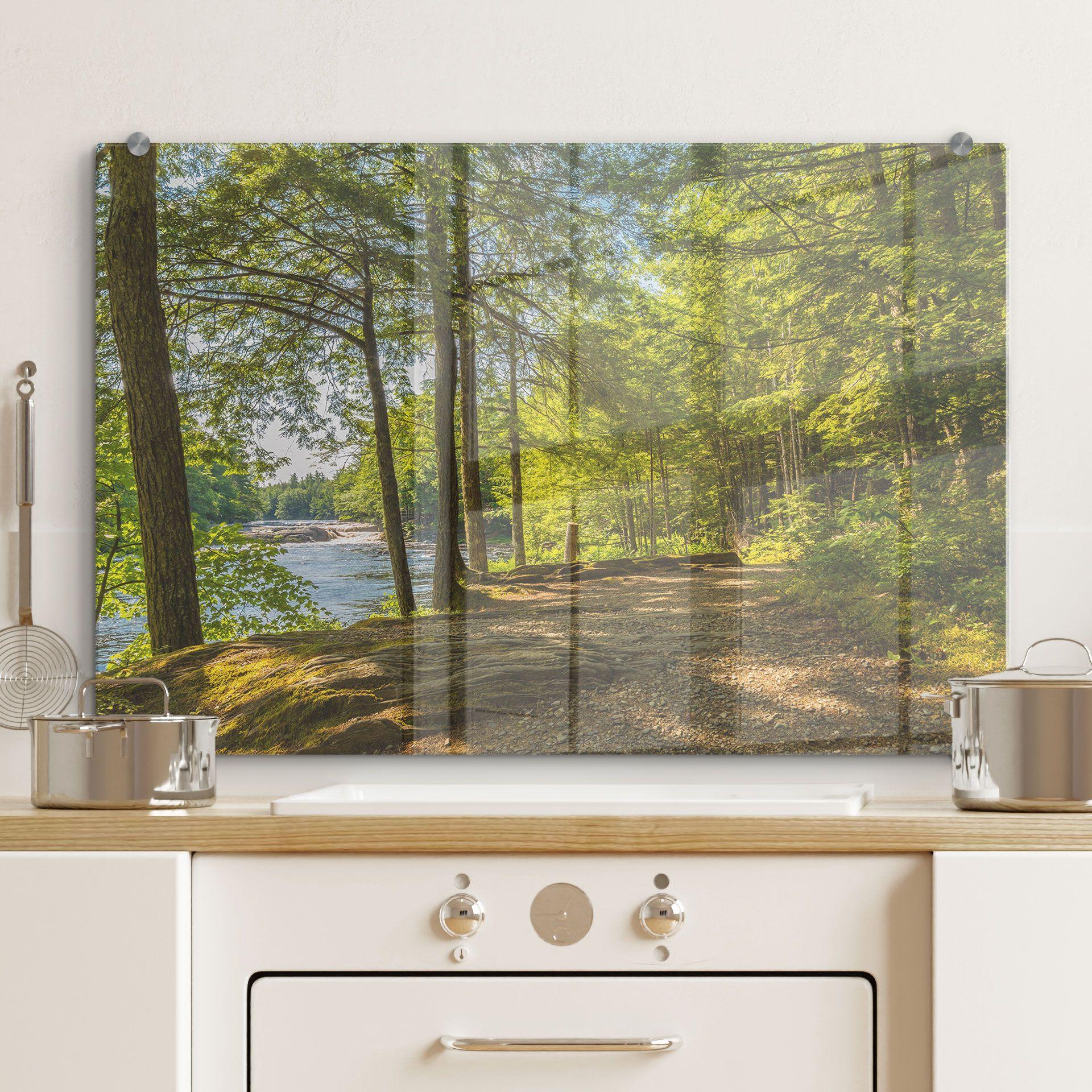 Stænkplade - Skovsti ved floden