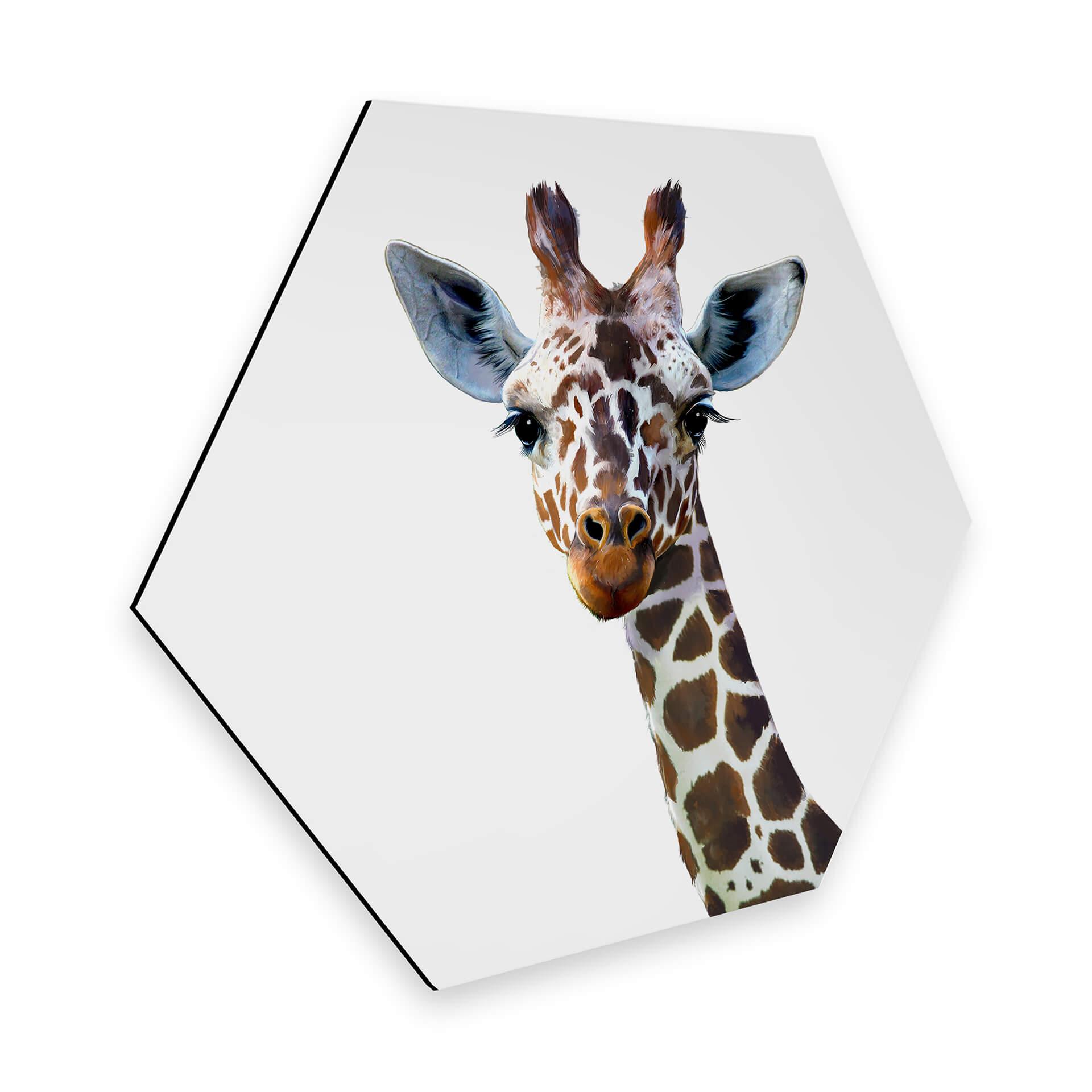 Hexagone - Alu-Dibond Graves - Girafe