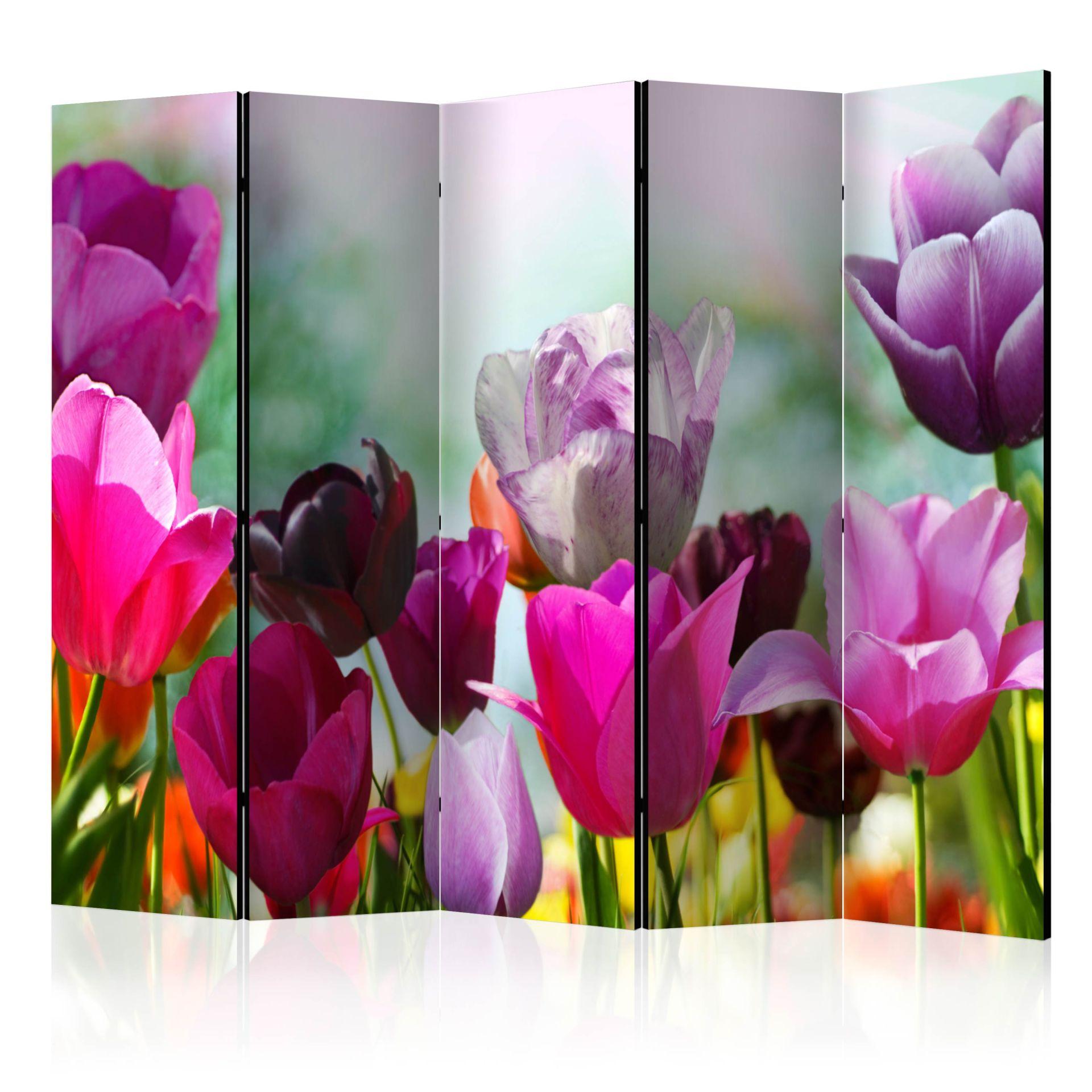 Rumdeler - Vidunderlige tulipaner , 5-delt - 225x172 cm