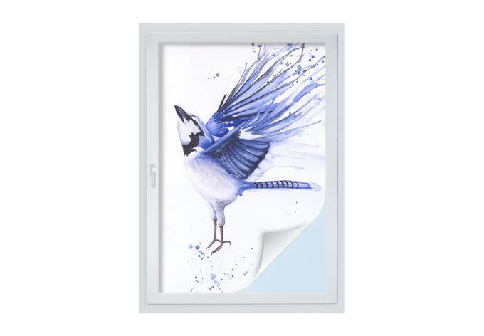 Lámina para ventanas Müller - Blue tit