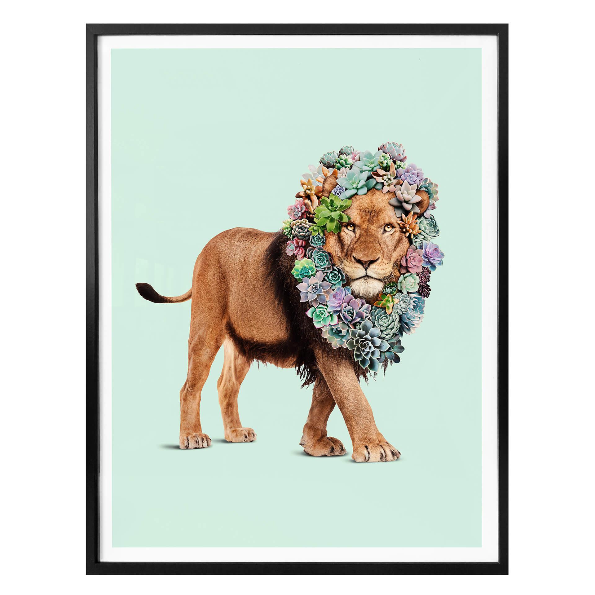 Póster Suelto - León suculento