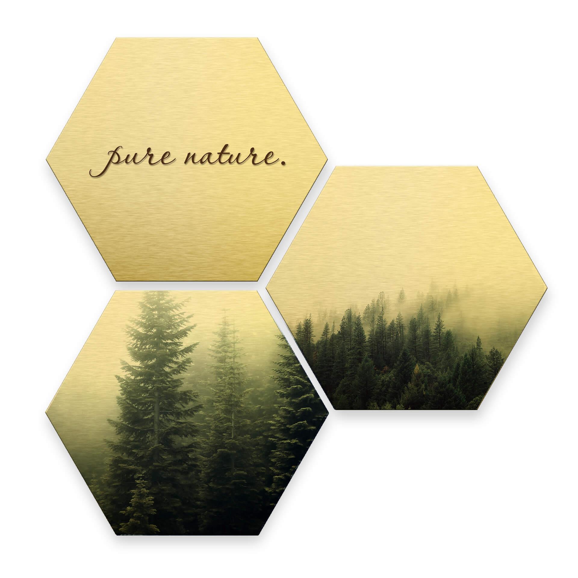 Hexagon alu-dibond goud effect - Pure Nature