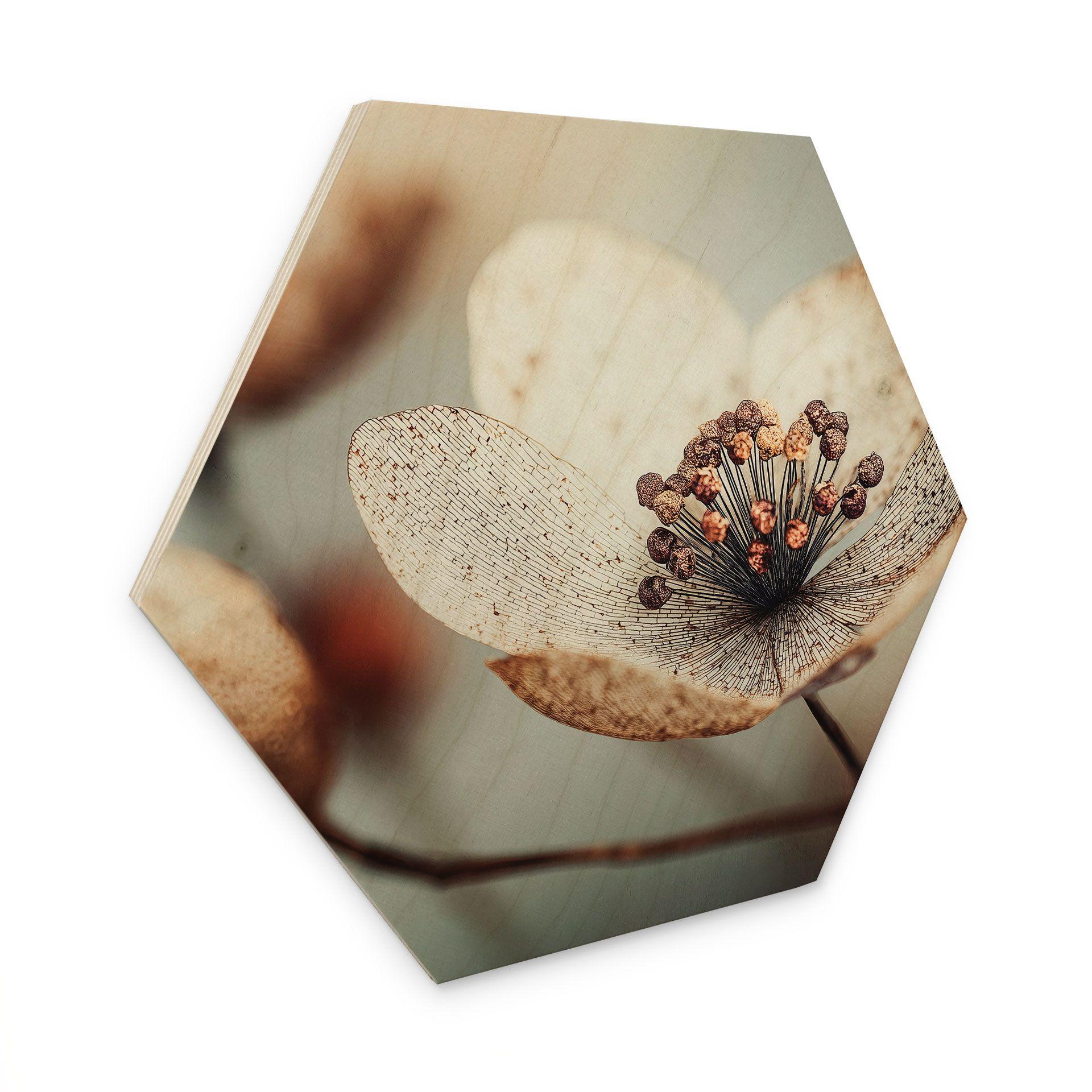 Sekskantet Billede af træ Boho tørret blomst makro - Treechild