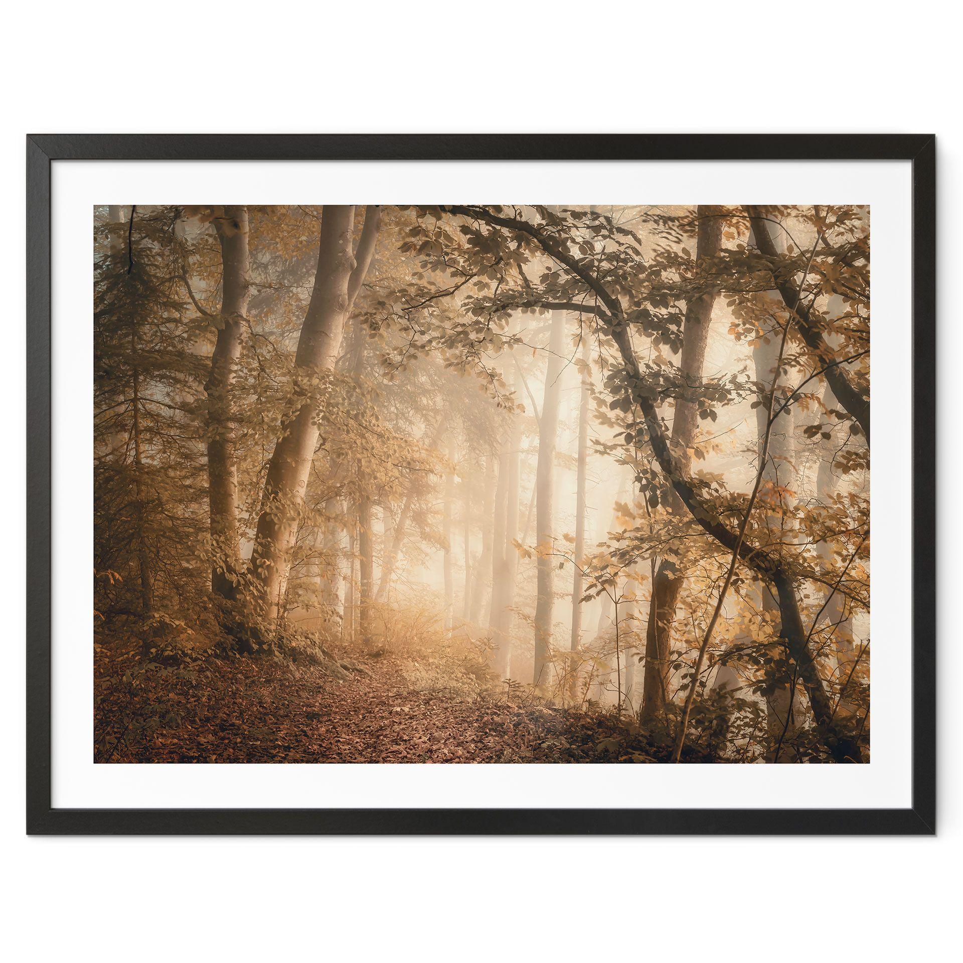 Póster Bosque en la niebla matinal - Maier