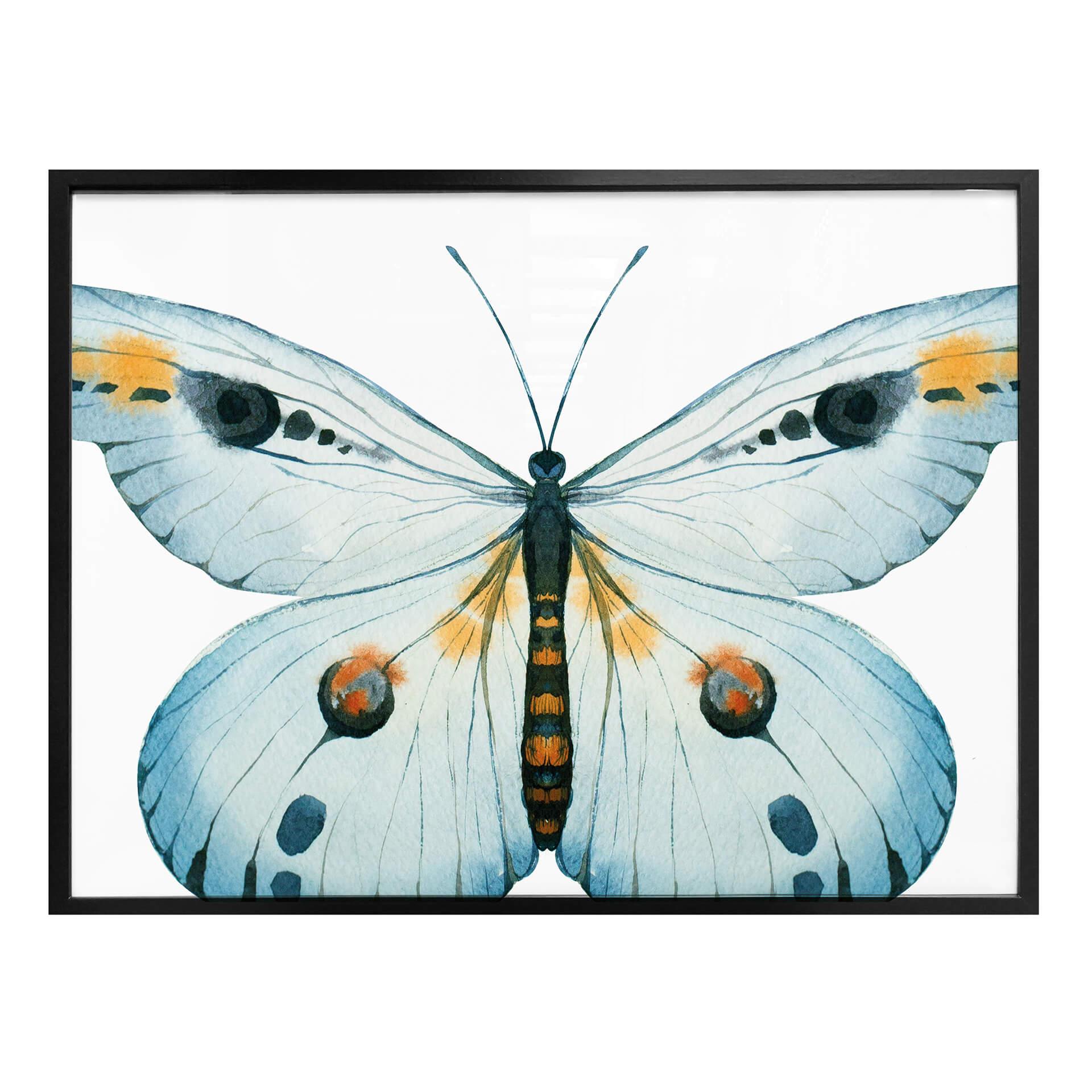 Póster Kvilis - Mariposa 03