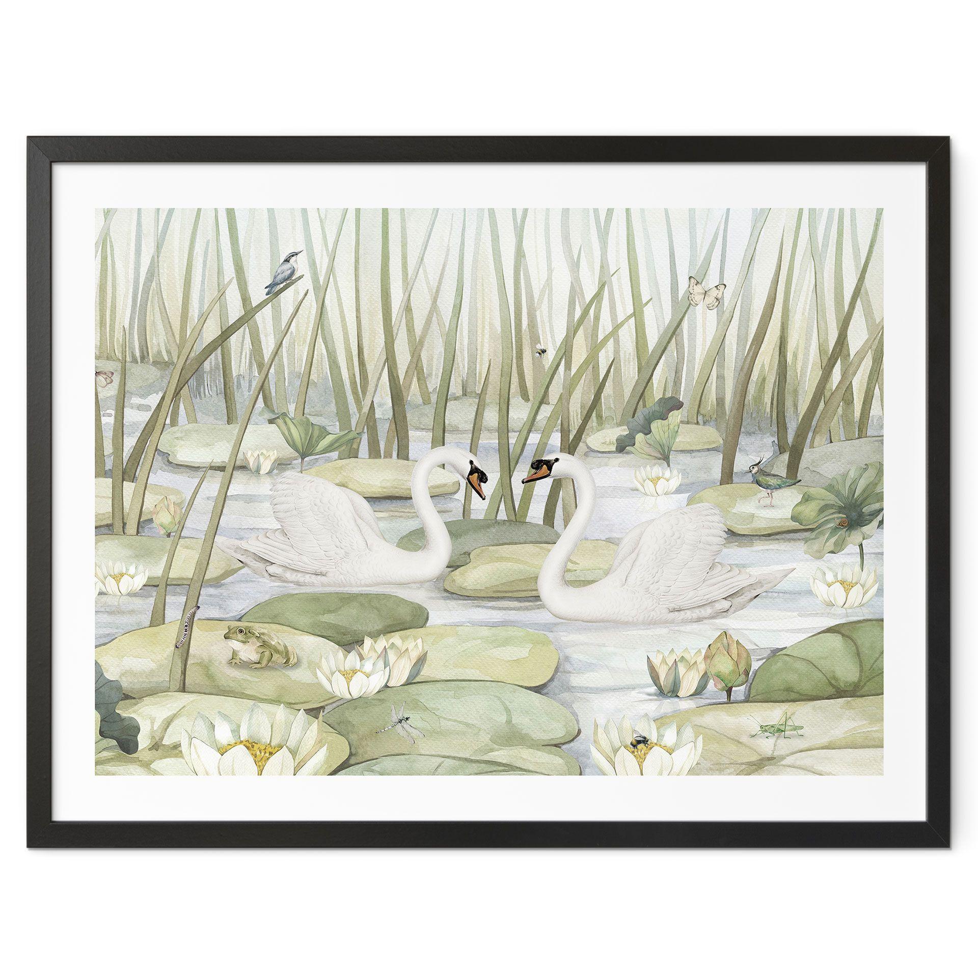 Póster Dos cisnes en el estanque - Kikki Belle