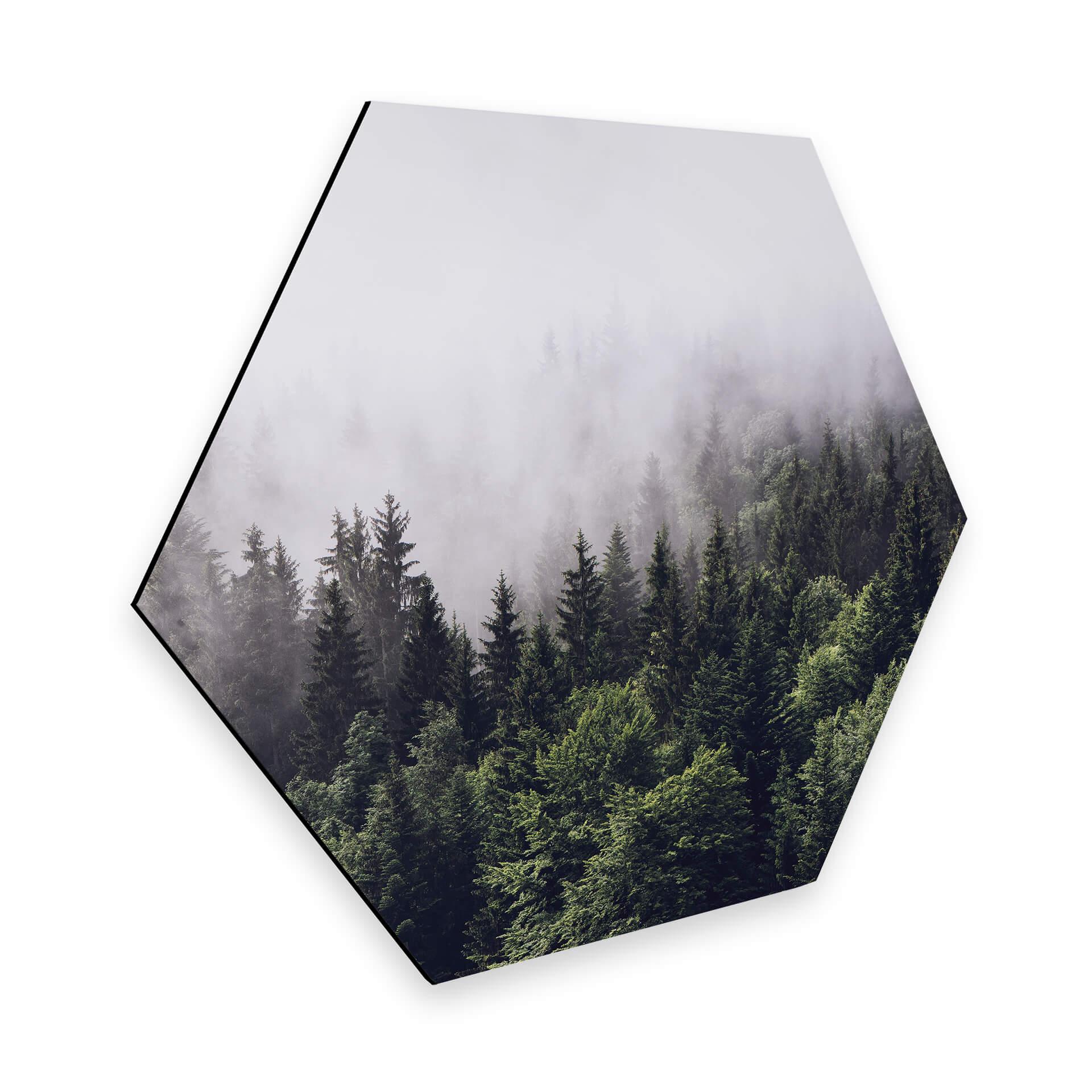 Hexagon Dibond Mistig Bos