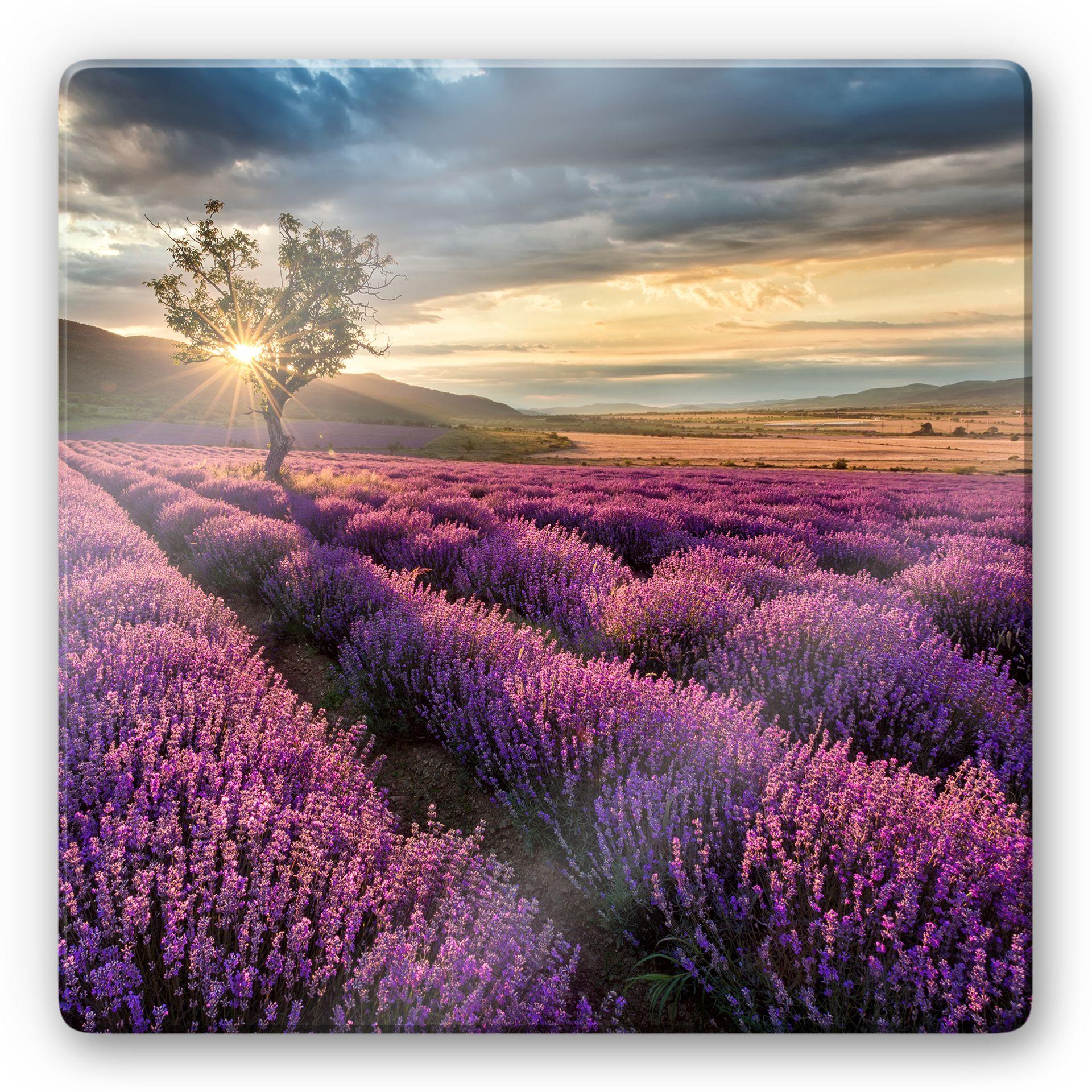 Glasbillede - Lavendel i Provence - Kvadratisk