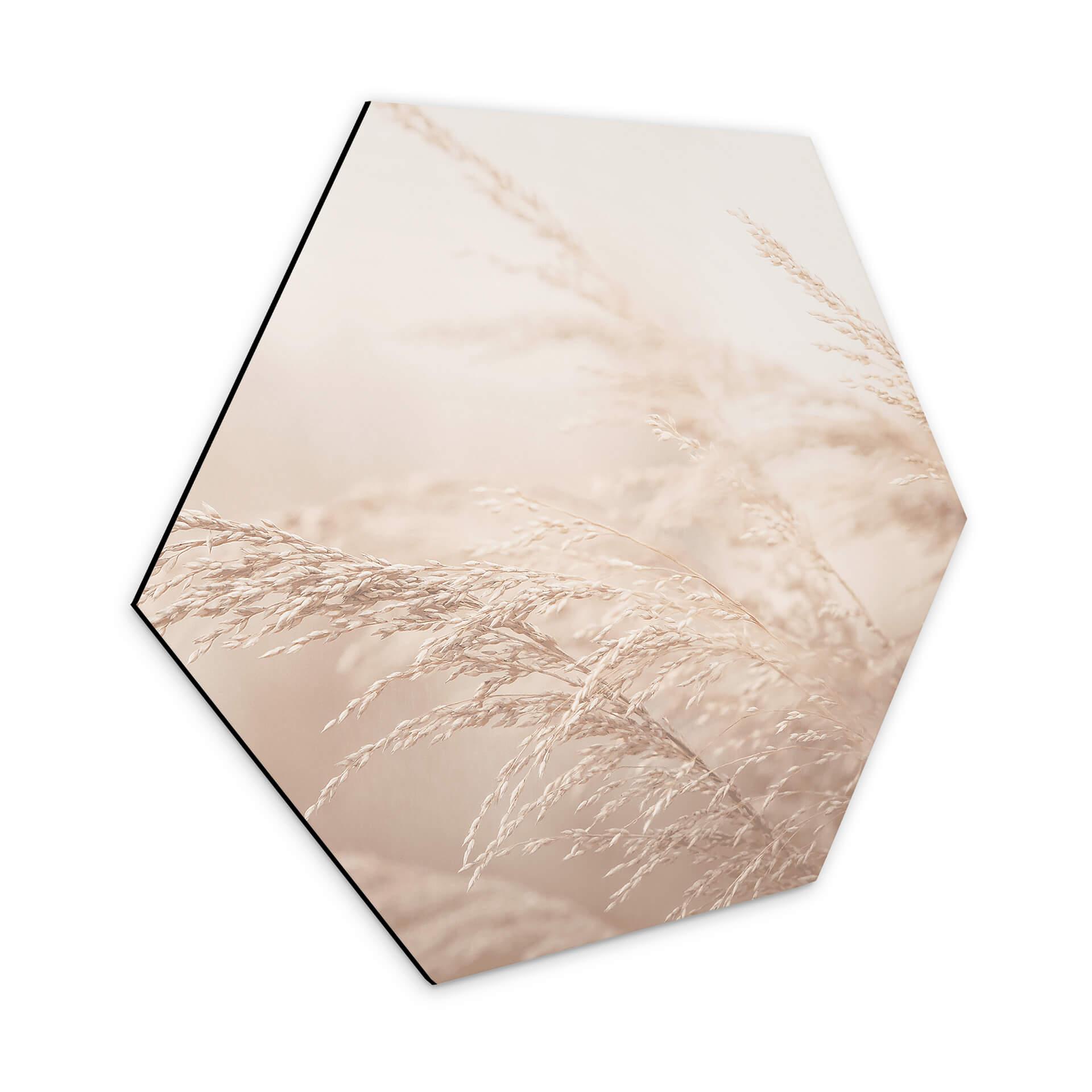 Hexagon Dibond Morning Light