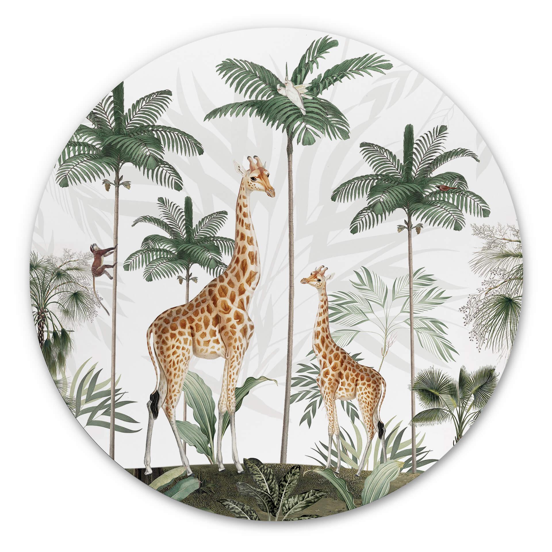 Tableau sur alu-Dibond rond Kikki Belle - Les girafes