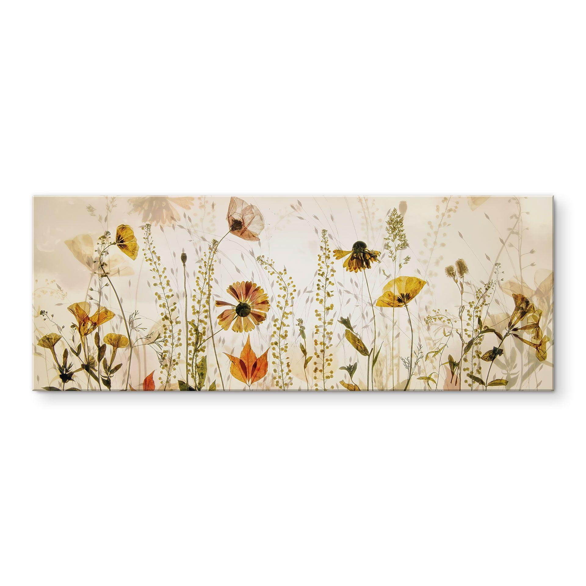 Akrylbillede Vilde engblomster i sollyset - Talen - Panorama