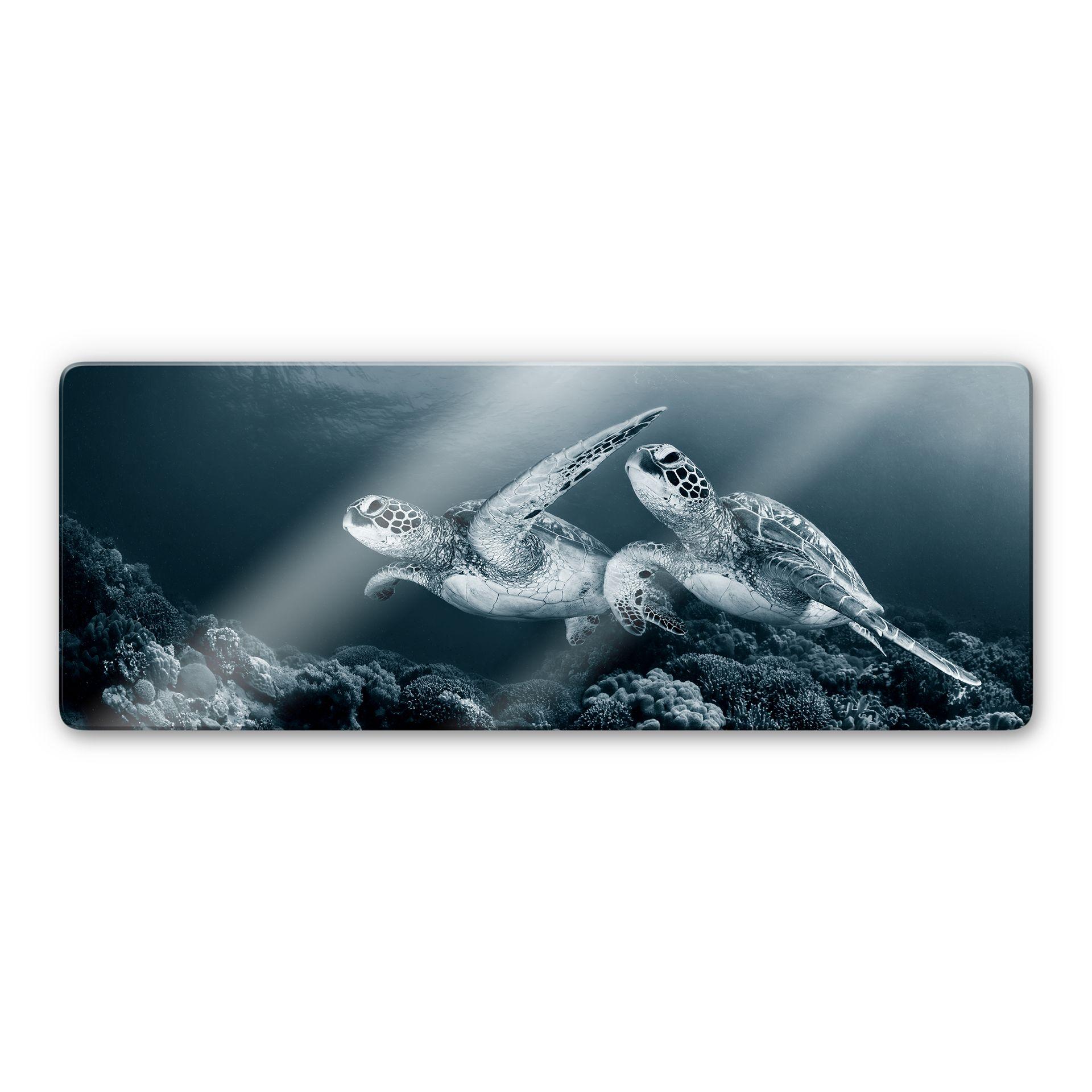 Tableau sur verre Narchuk - Deux tortues en voyage - Panorama