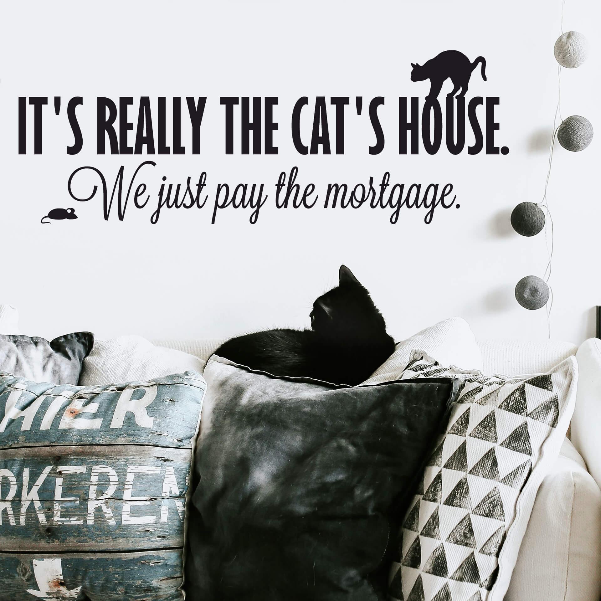 It's really the cat's house.