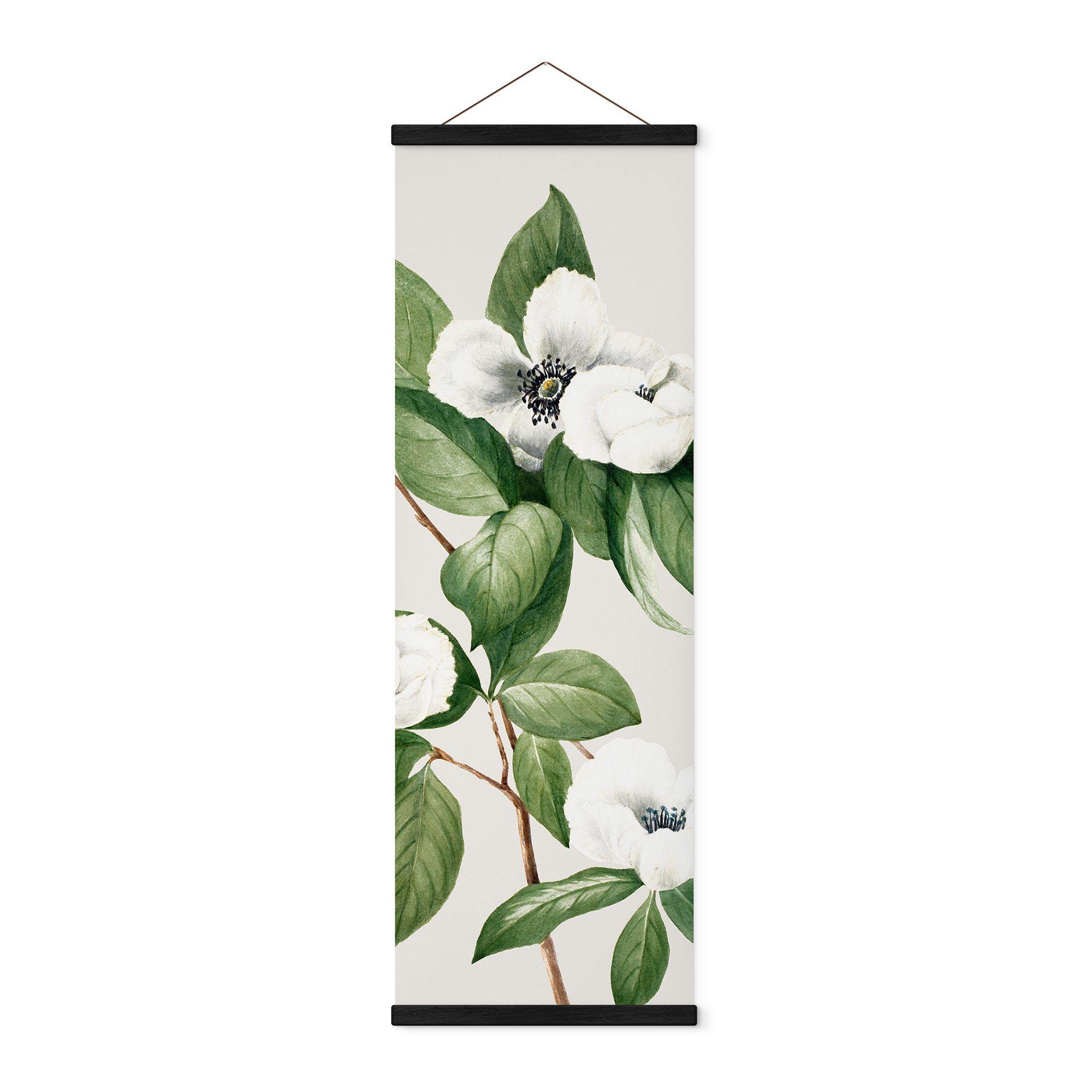 Tekstil plakat botanik illustration af en falsk kamelia - Walcott - Panorama