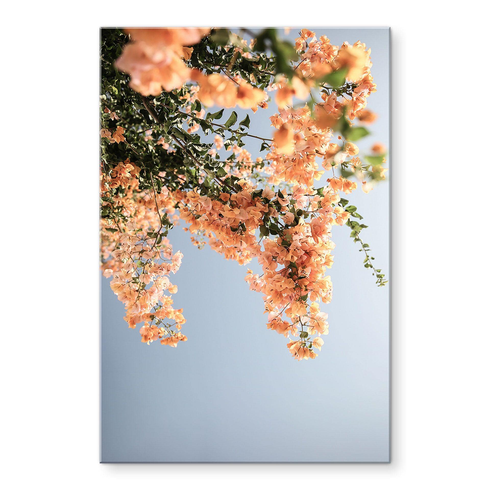 Akrylbillede Ferskenblomster i Assos - Shot by Clint