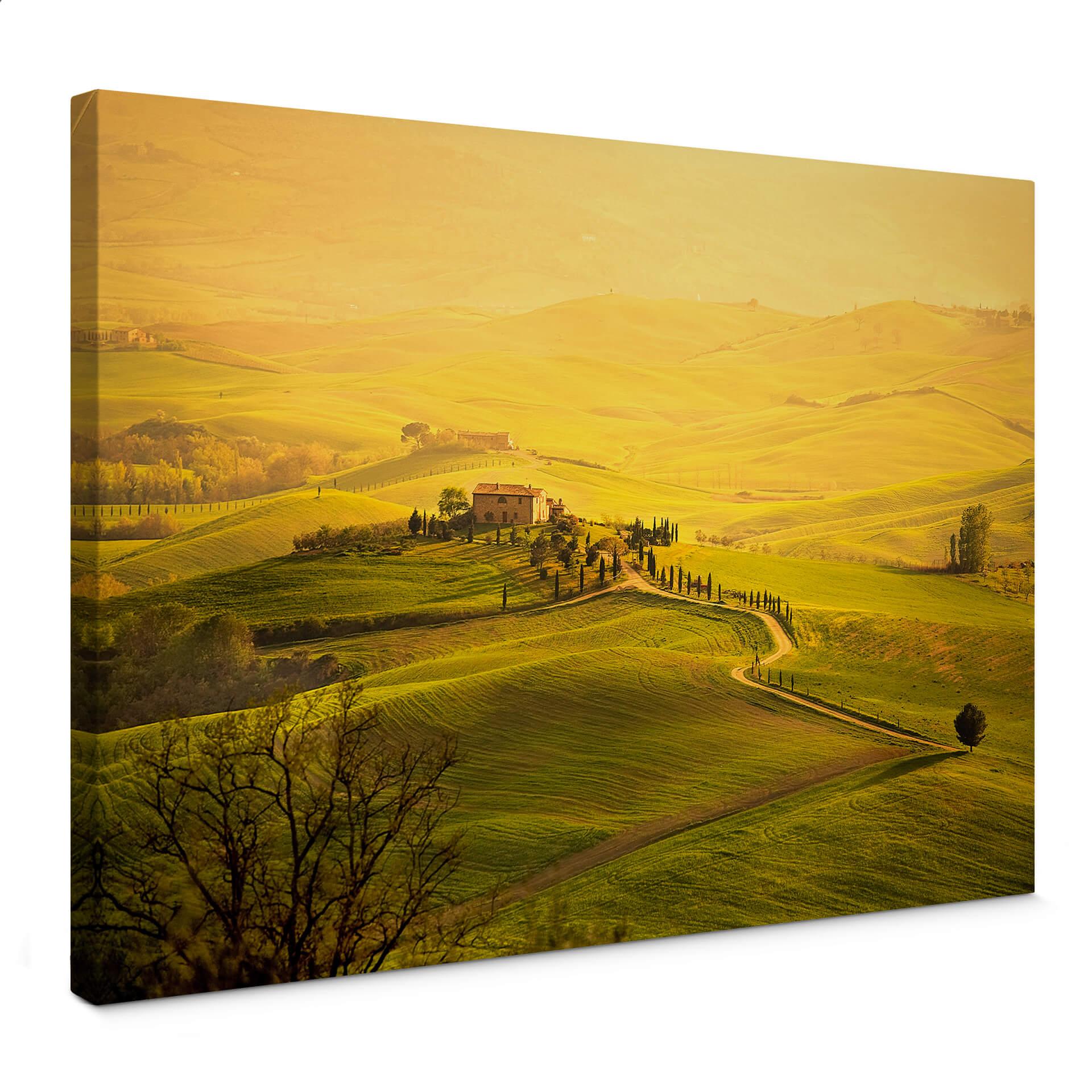 Lienzo vista Toscana