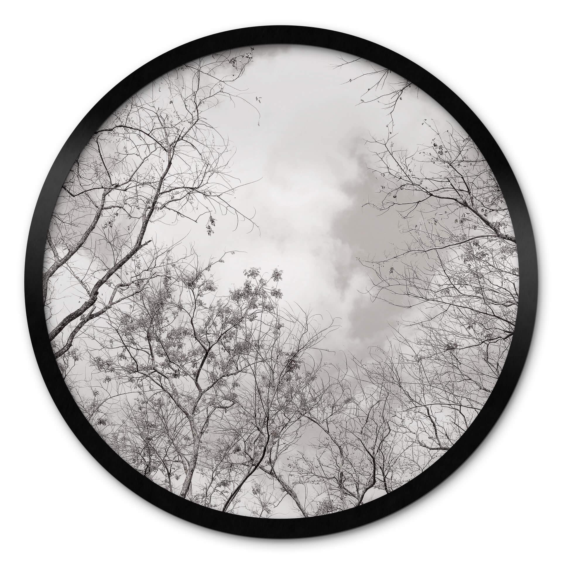 Plakat High in the Trees