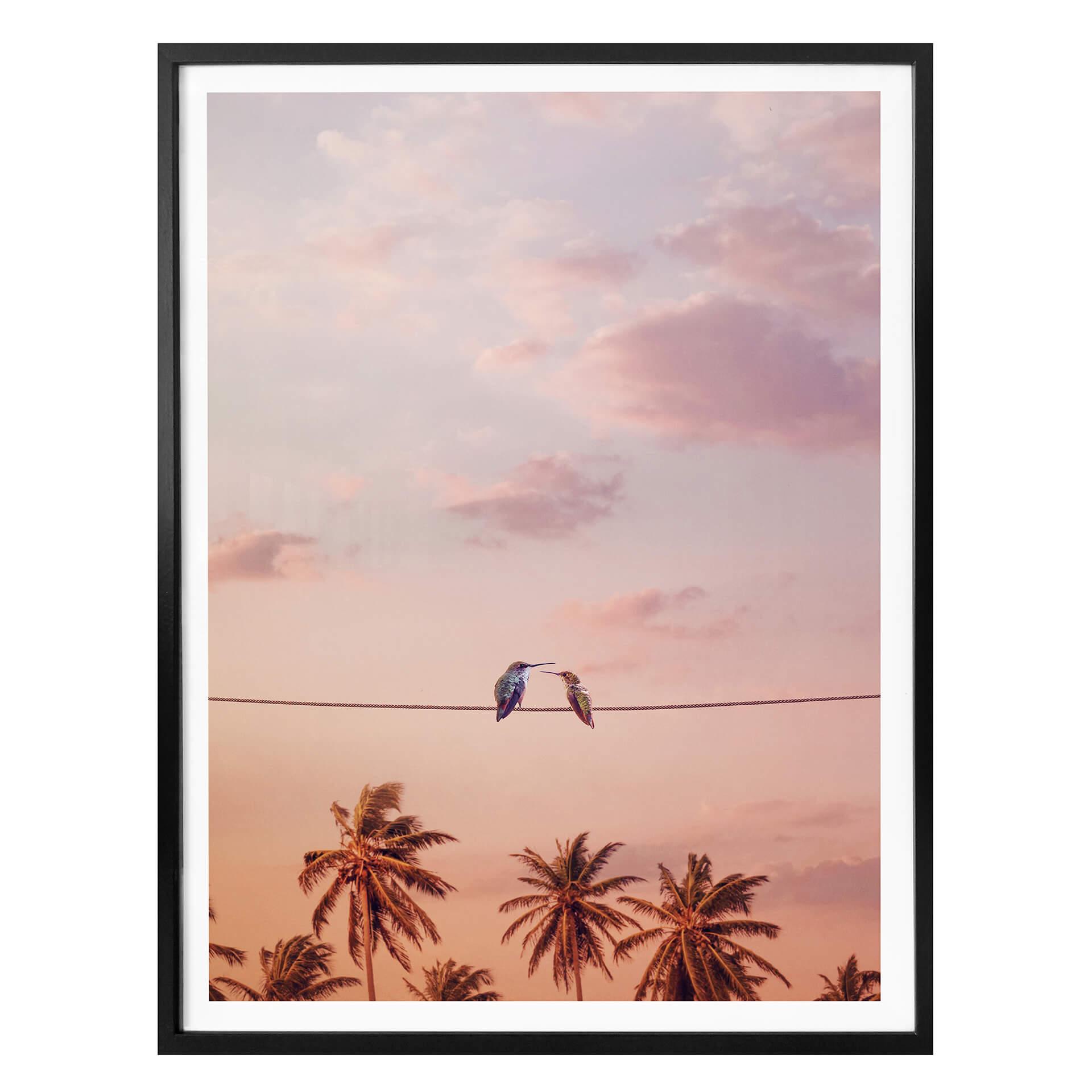 Póster Suelto - Colibríes enamorados