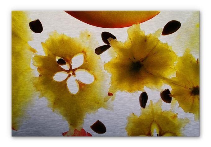 Tableau en alu-Dibond Fruits abstraits