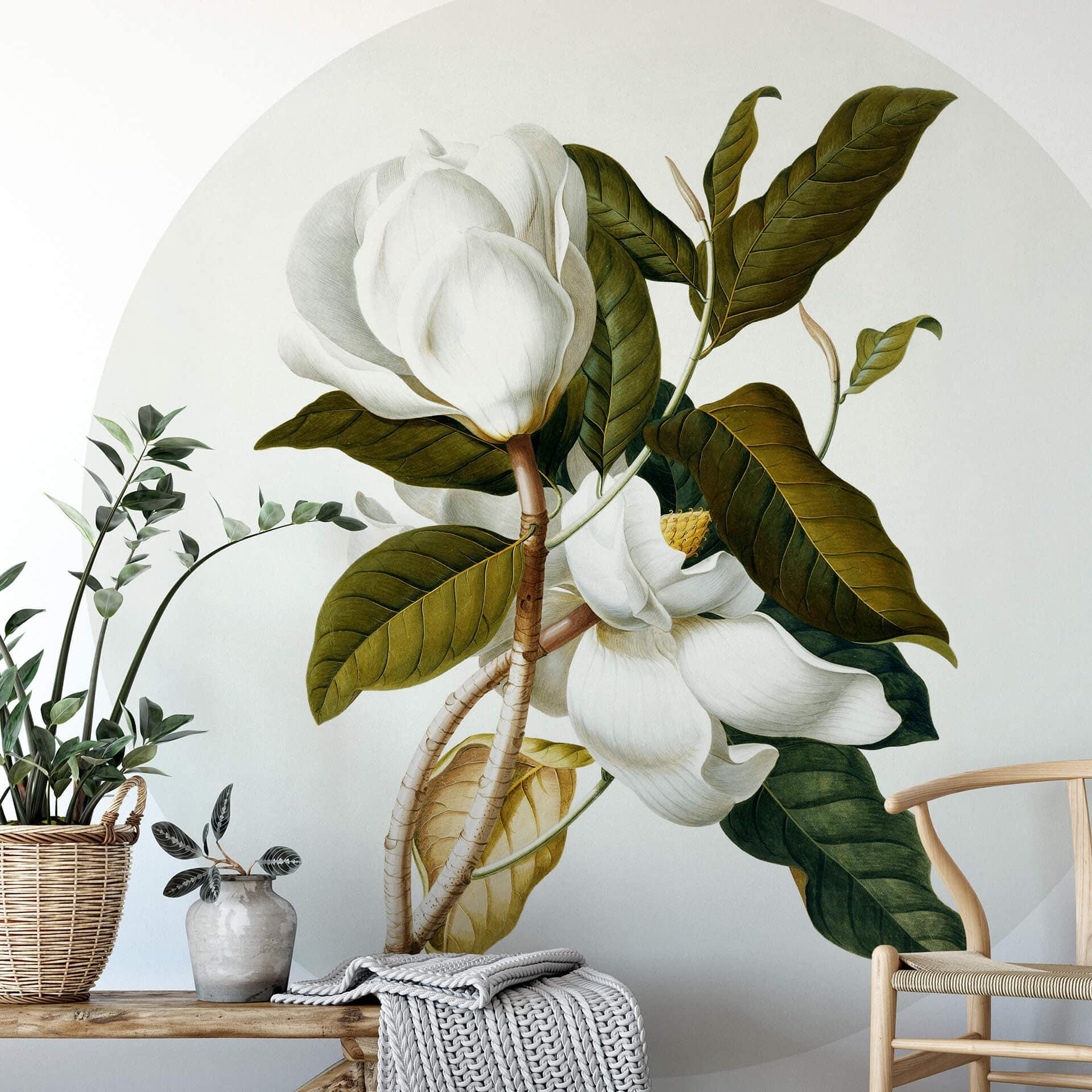 Fototapet - Rundt Ehret - Magnolia - vliesetapet/selvklæbende non-woven tapet