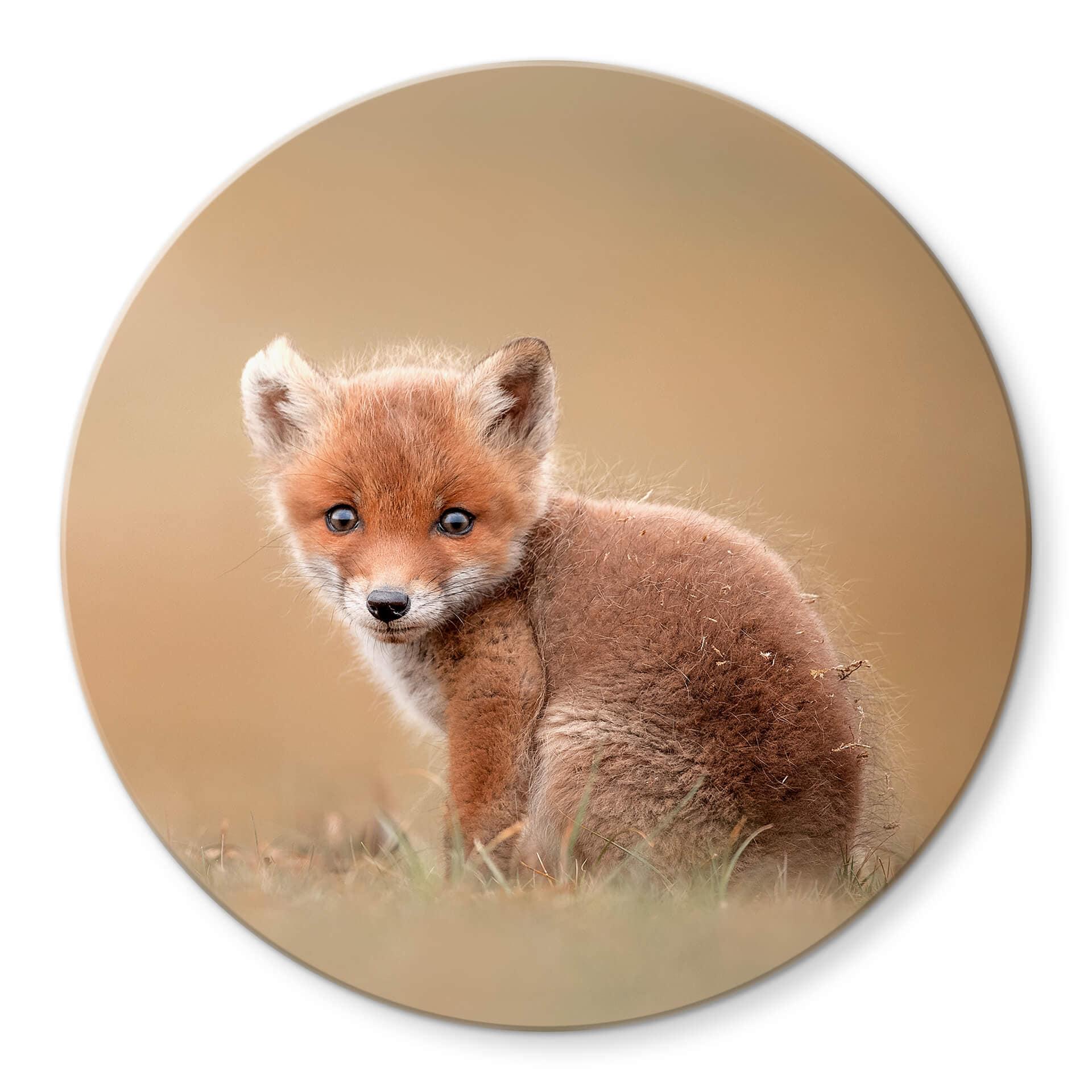 Glasschilderij Rond - van Duijn - Baby Fox