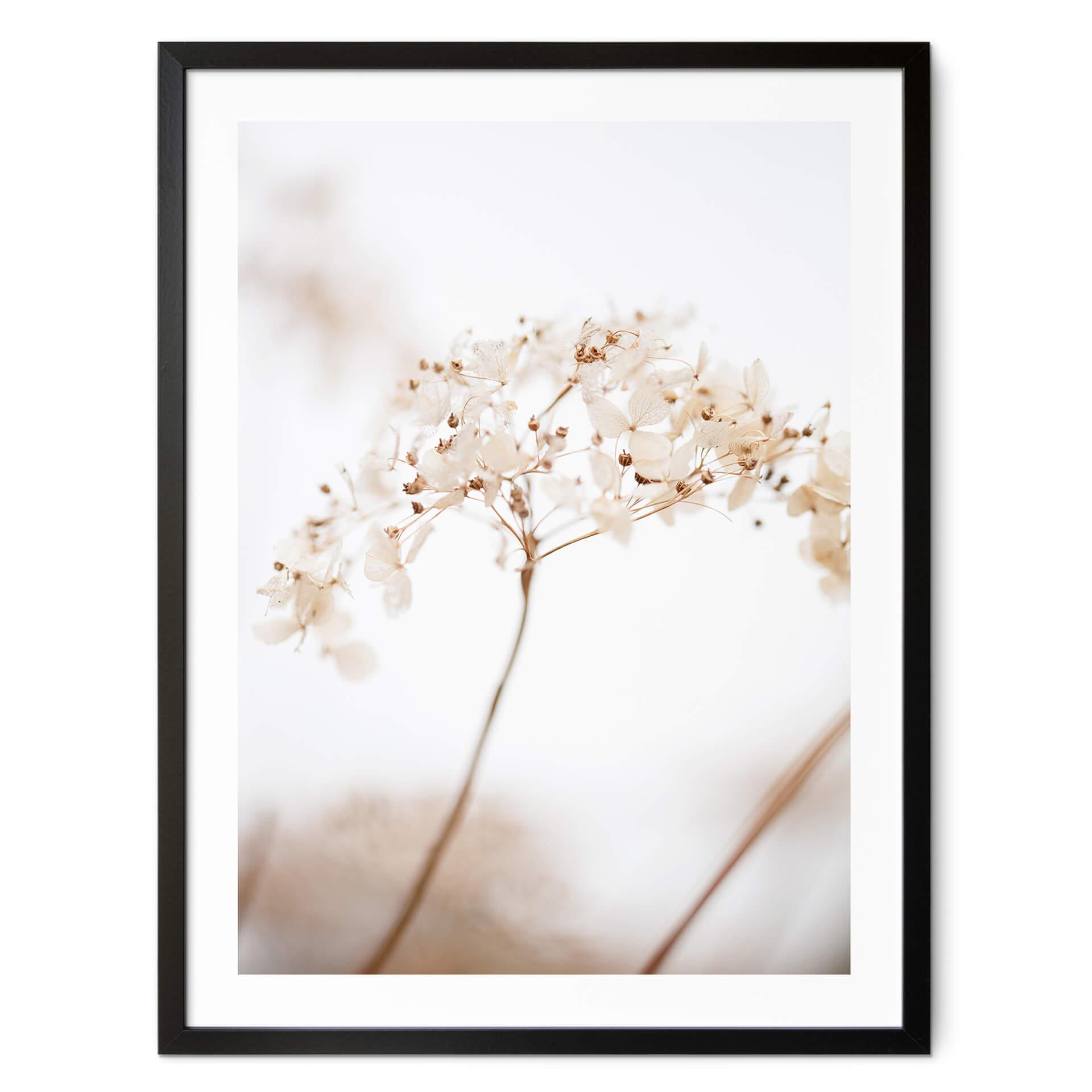 Póster 1X Studio - Rama con delicadas flores