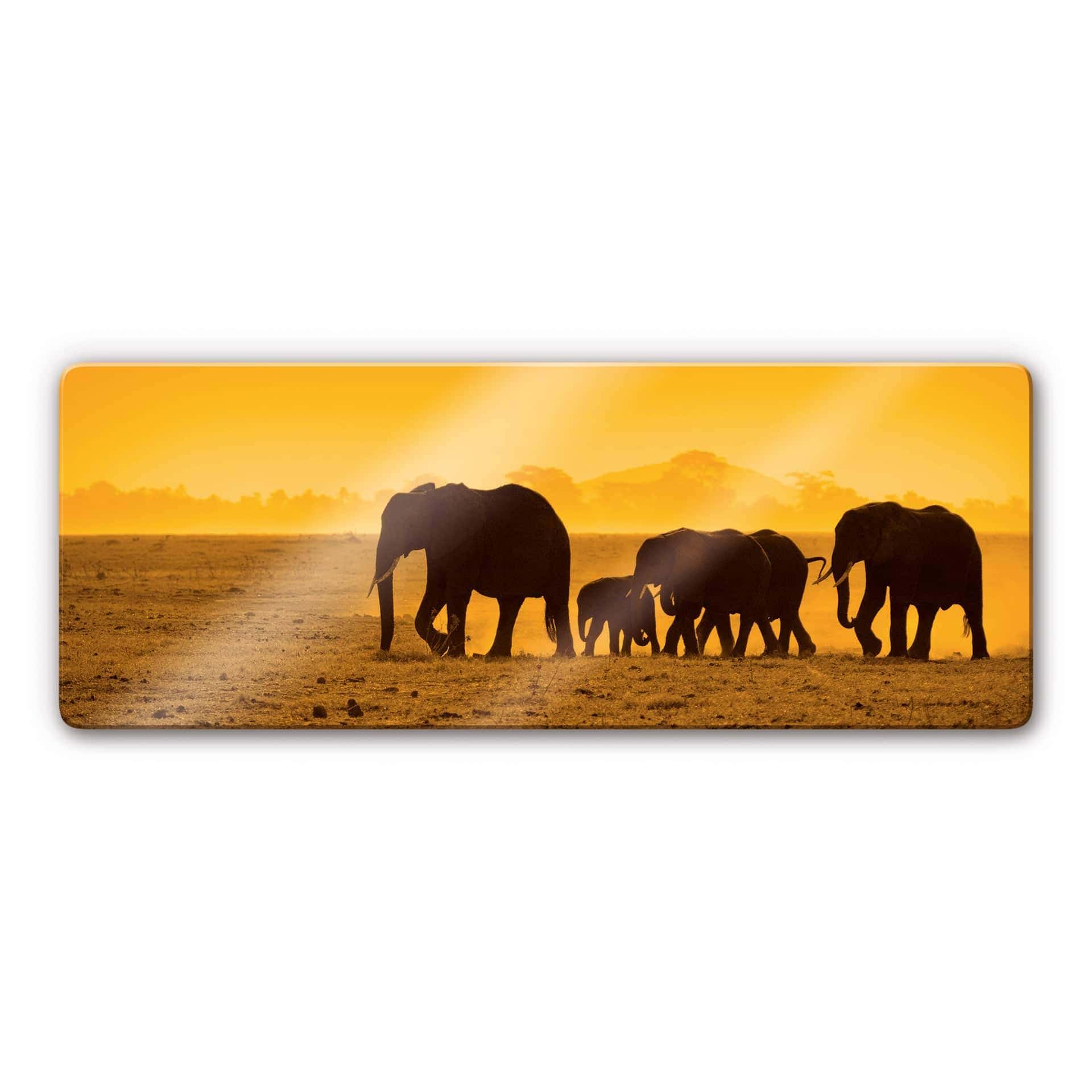 Tableau en verre - Silhouettes d'Eléphants 2
