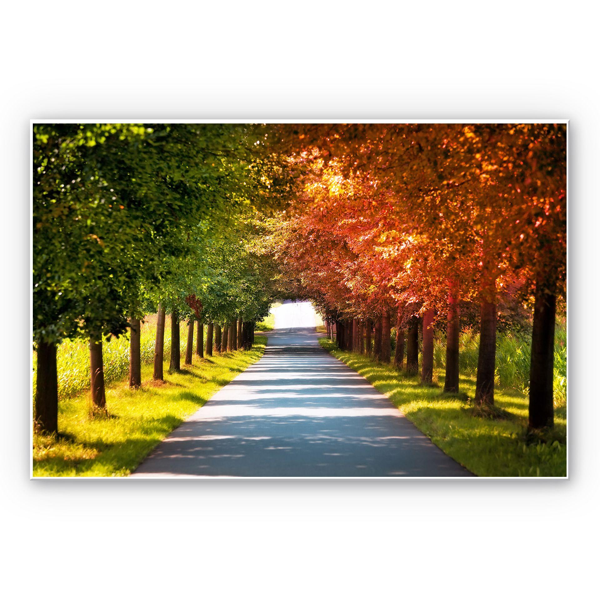 Tableau Forex - Automne