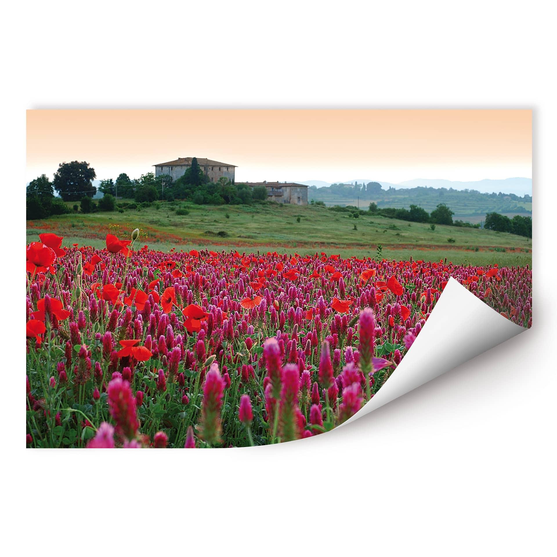 Poster autocollant - W - Champ de Fleurs en Toscane