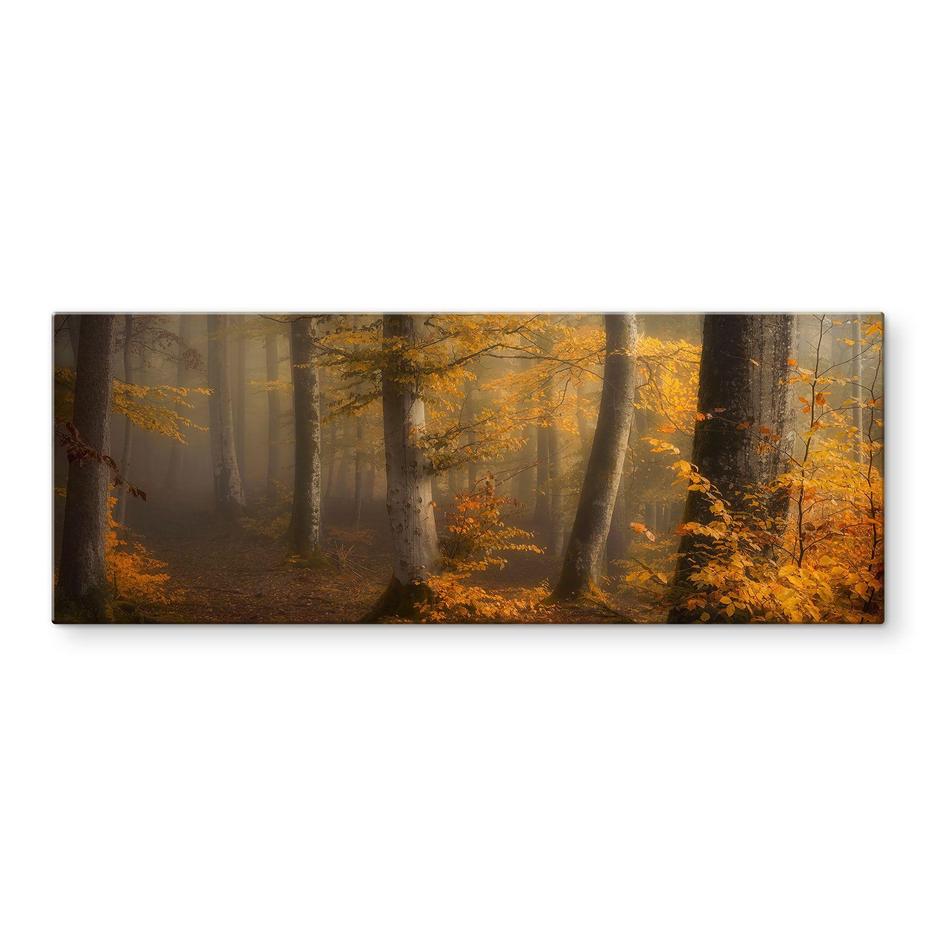 Glasbillede - Gyldne blade i en tåget skov - Maier - Panorama