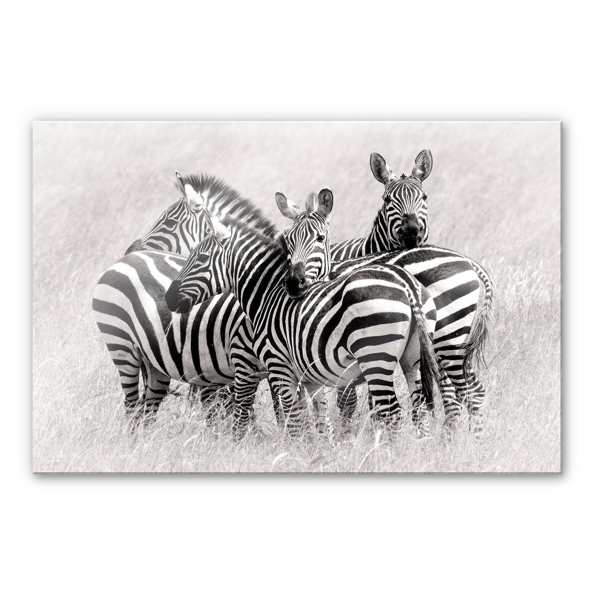 Akrylbillede Trubitsyn - Zebraer på savannen