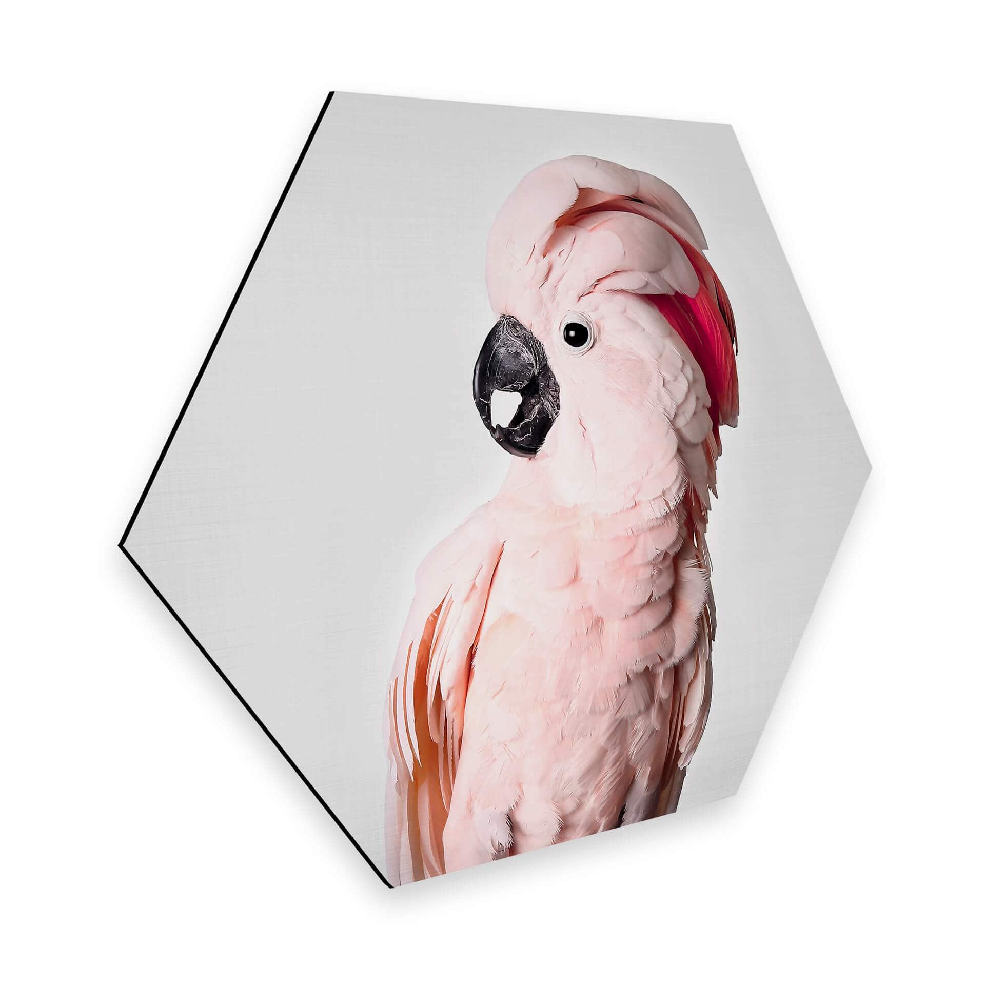Hexagon Dibond Sisi & Seb - Roze Kaketoe