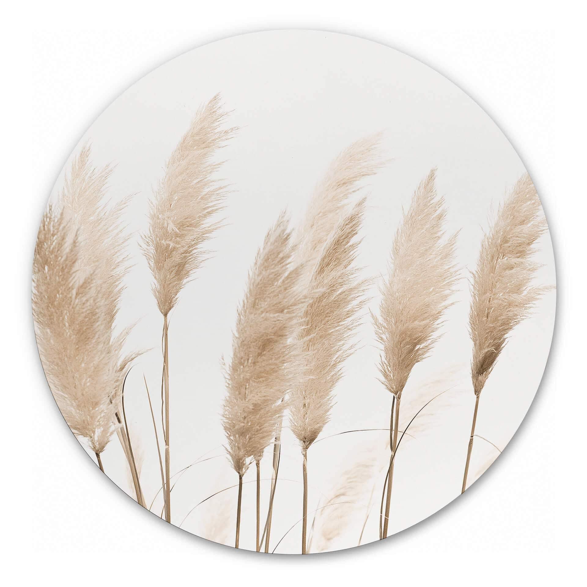 Tableau en alu-Dibond Sisi & Seb - Pampas - Rond