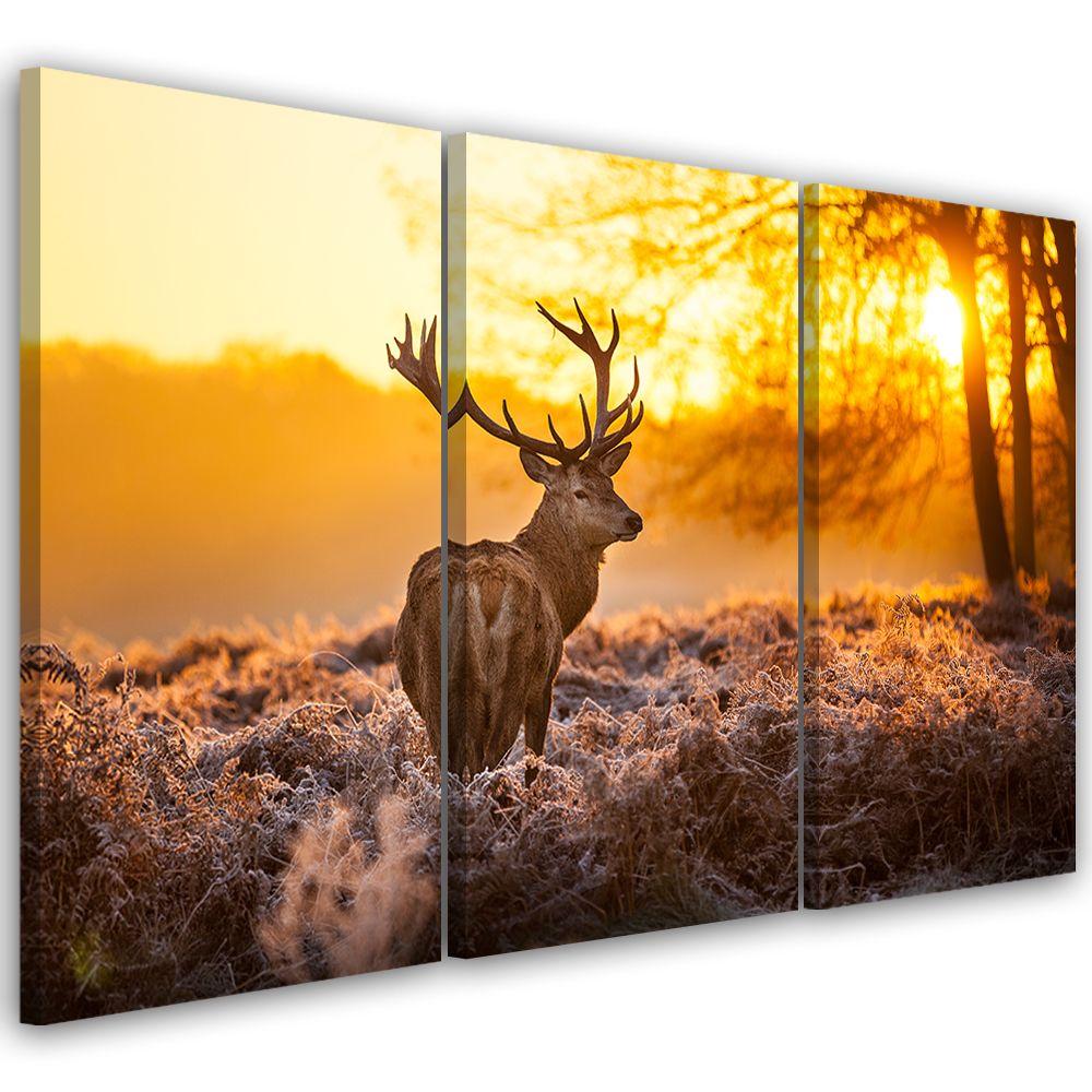 3 stykke lærredsprint, Deer Forest Sunset