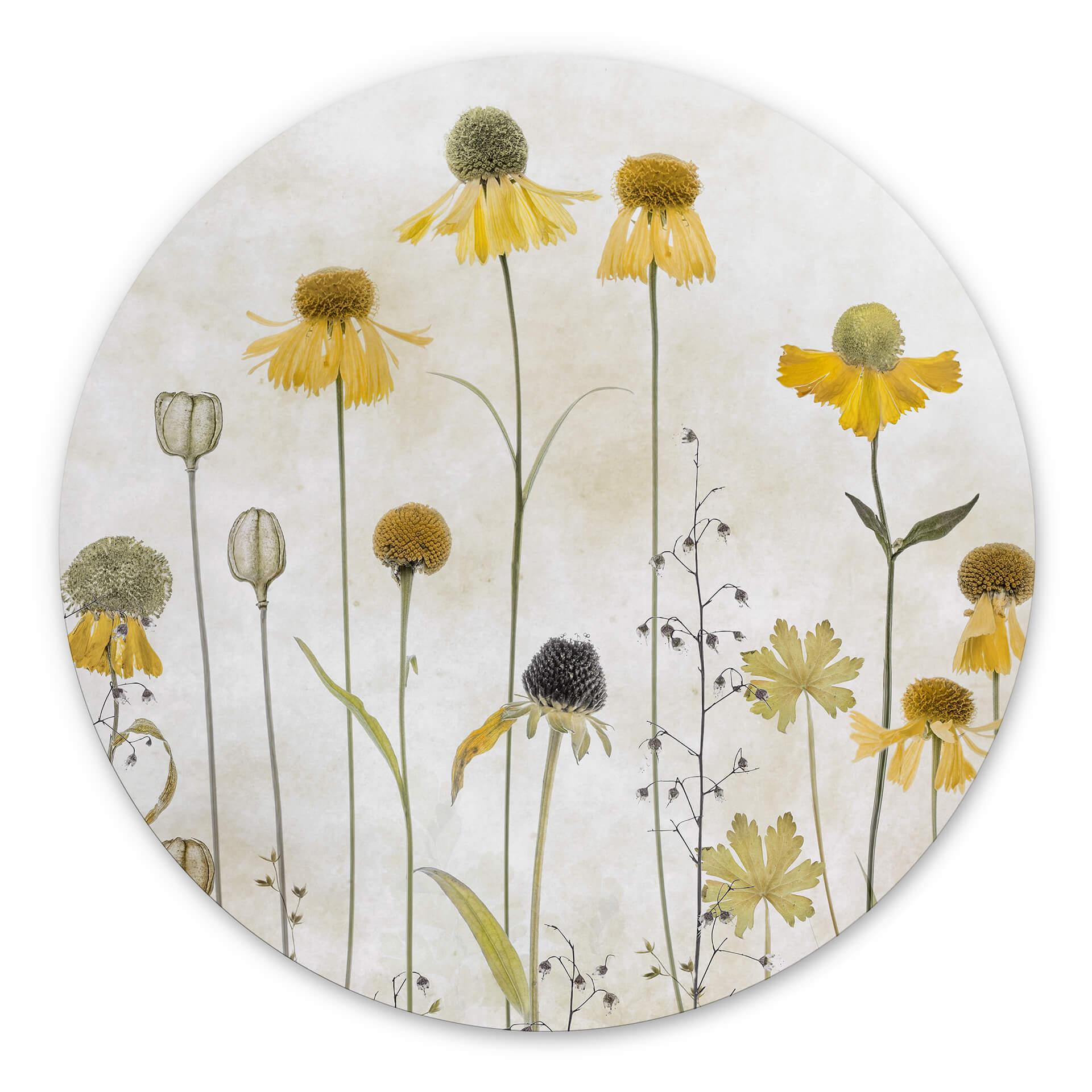 Vægcirkel Disher - Summer Flower – print på aluminium (Alu-Dibond)