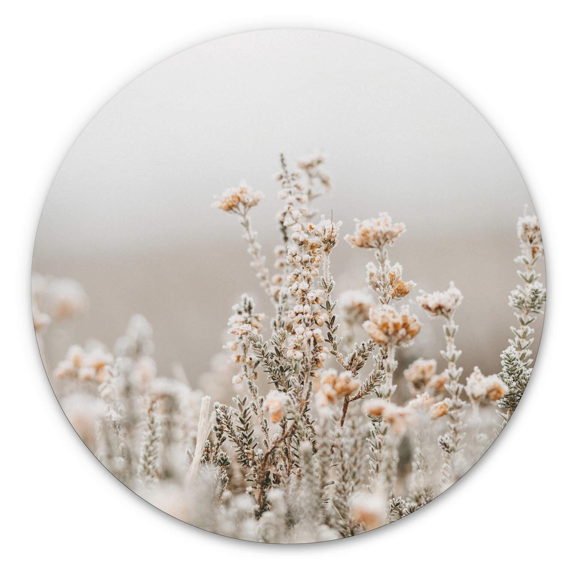 Tableau sur alu-Dibond Annie - Fleurs de glace - Rond