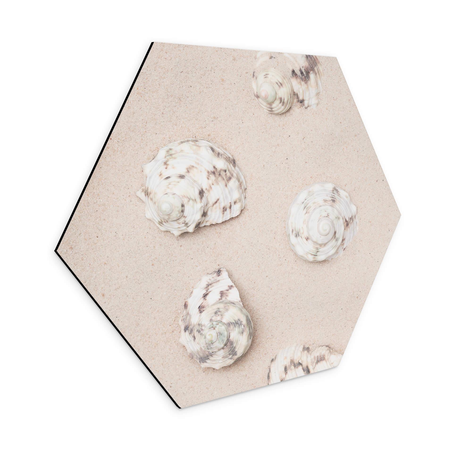 Hexagone - alu-Dibond 1X Studio - Sur la plage