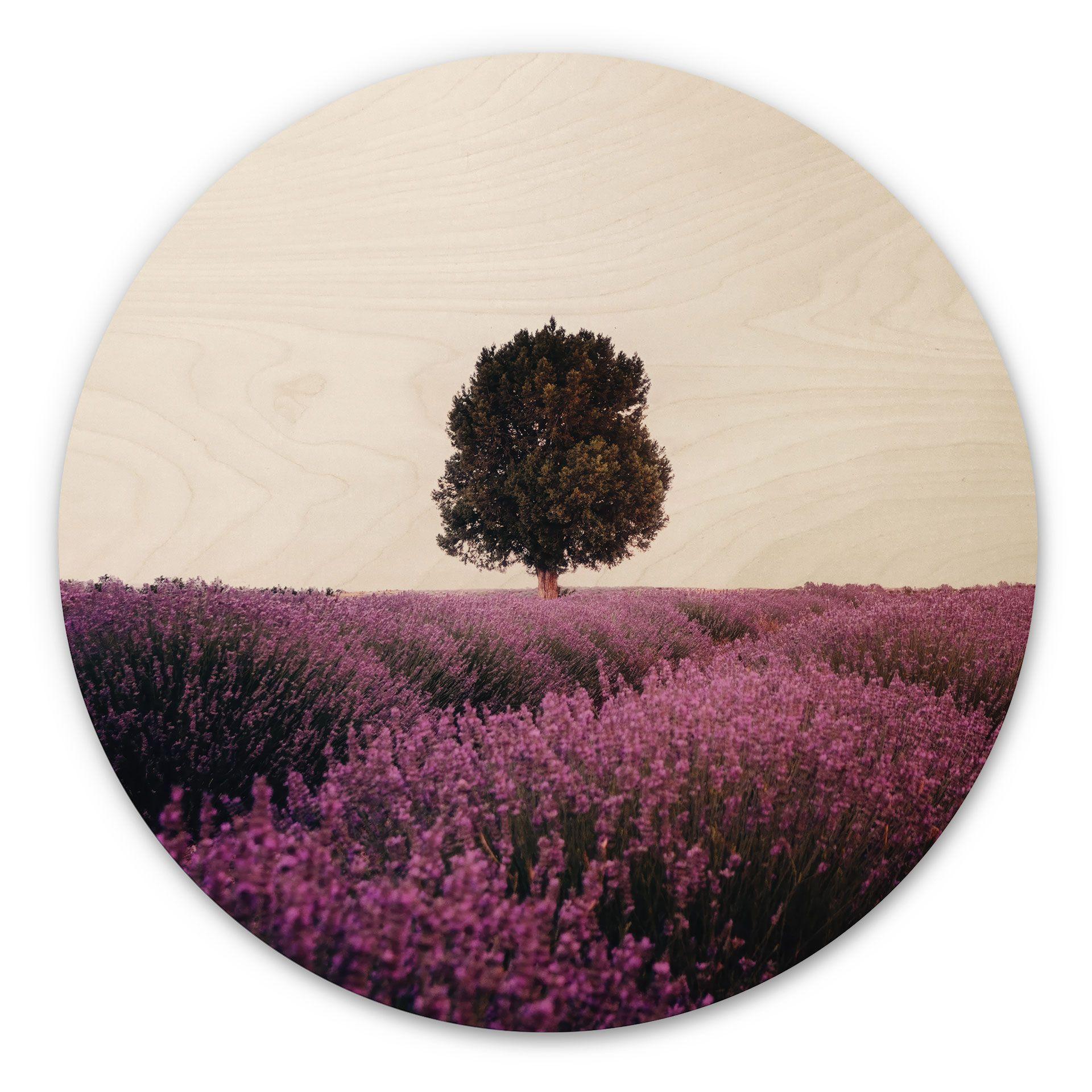 Cuadro de madera campos de lavanda purpura al atardecer - Cevik - Redondo