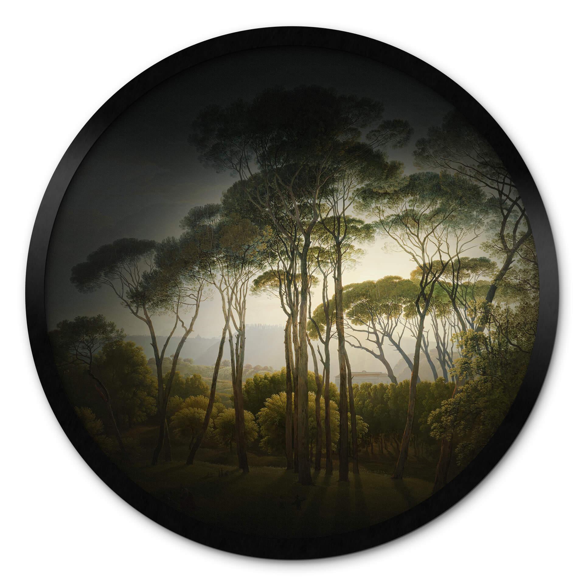 Póster paraguas pinos con viñeteado - Redondo