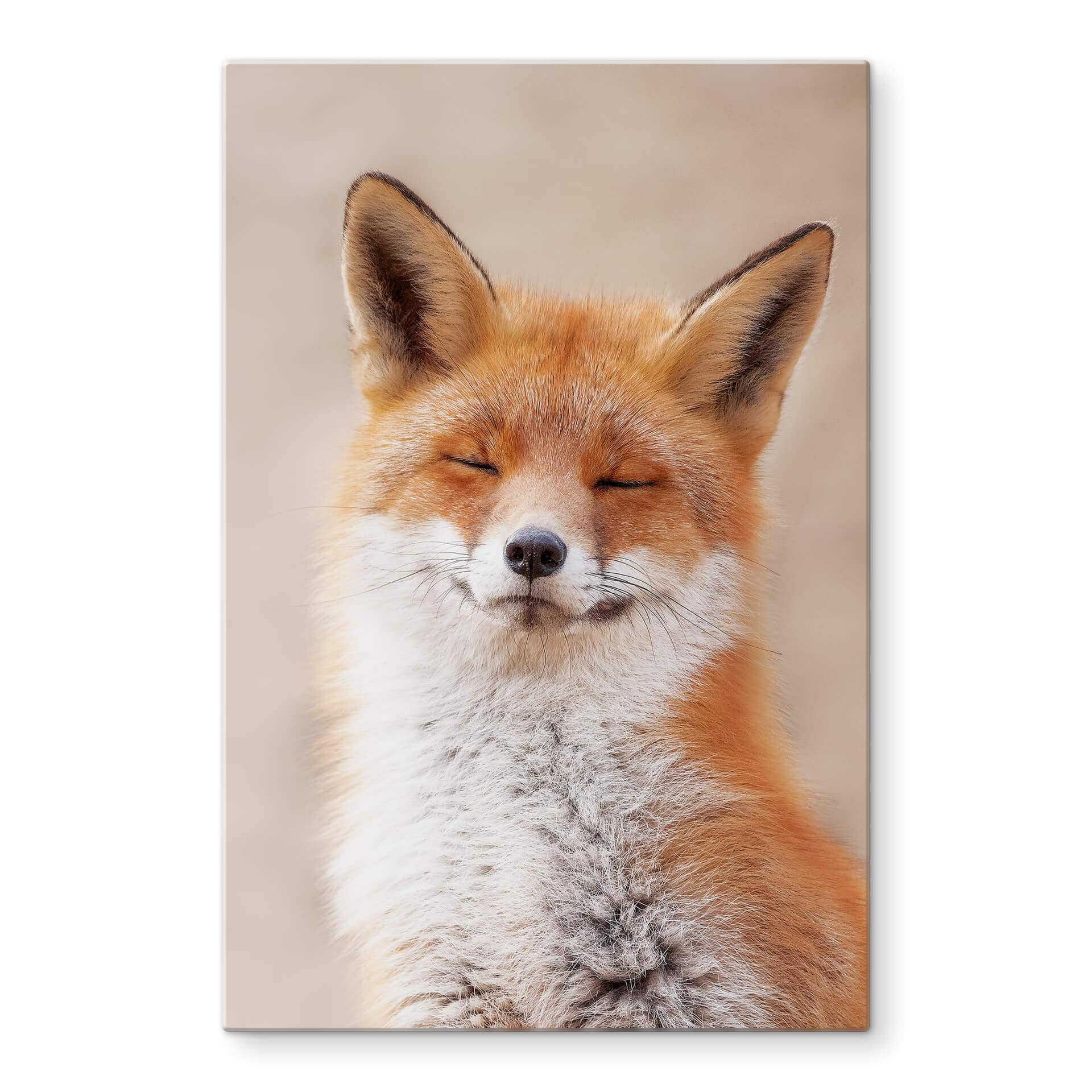 Tableau sur verre van Duijn - Renard content