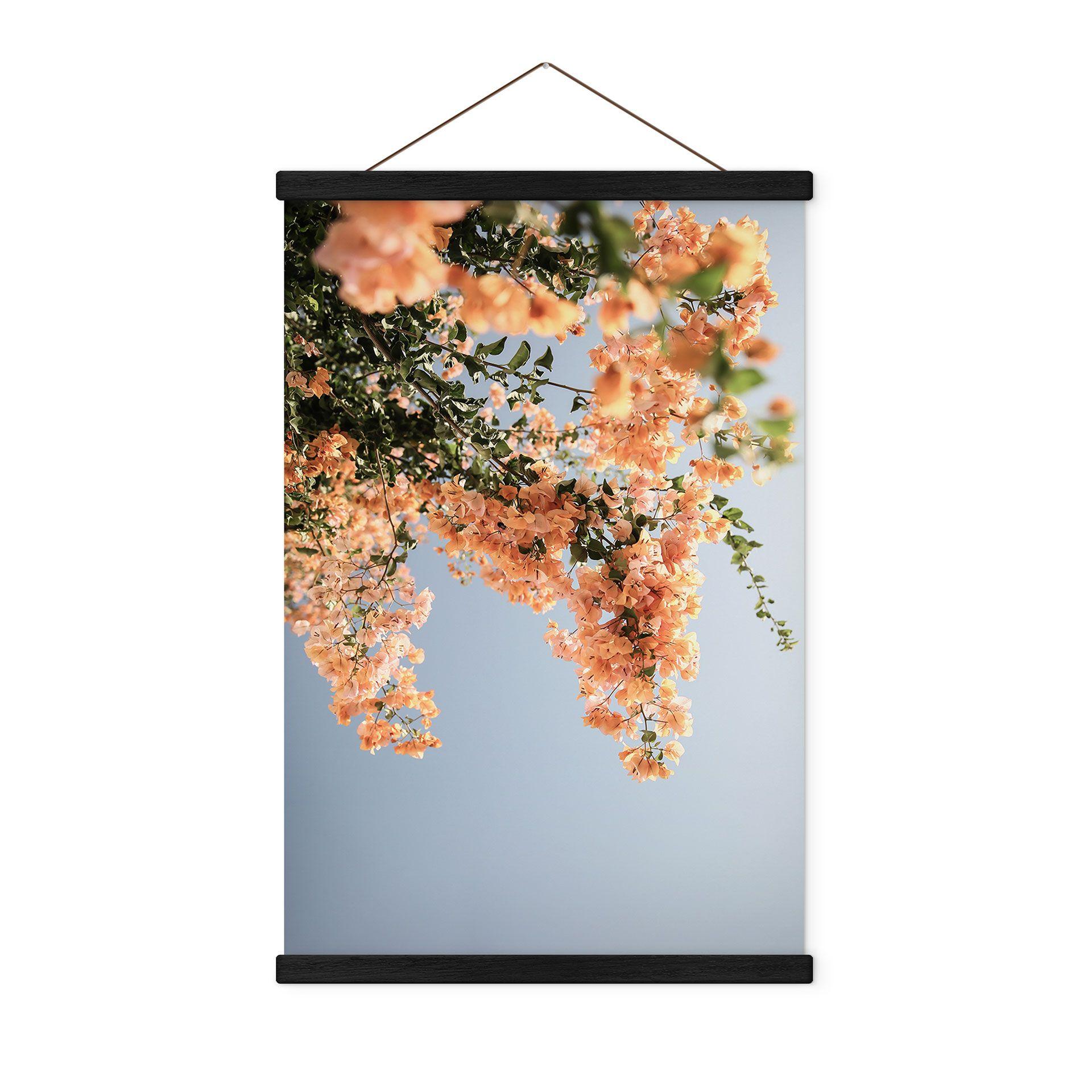 Póster de tela Flores de color melocotón en Assos - Fotografía de Clint