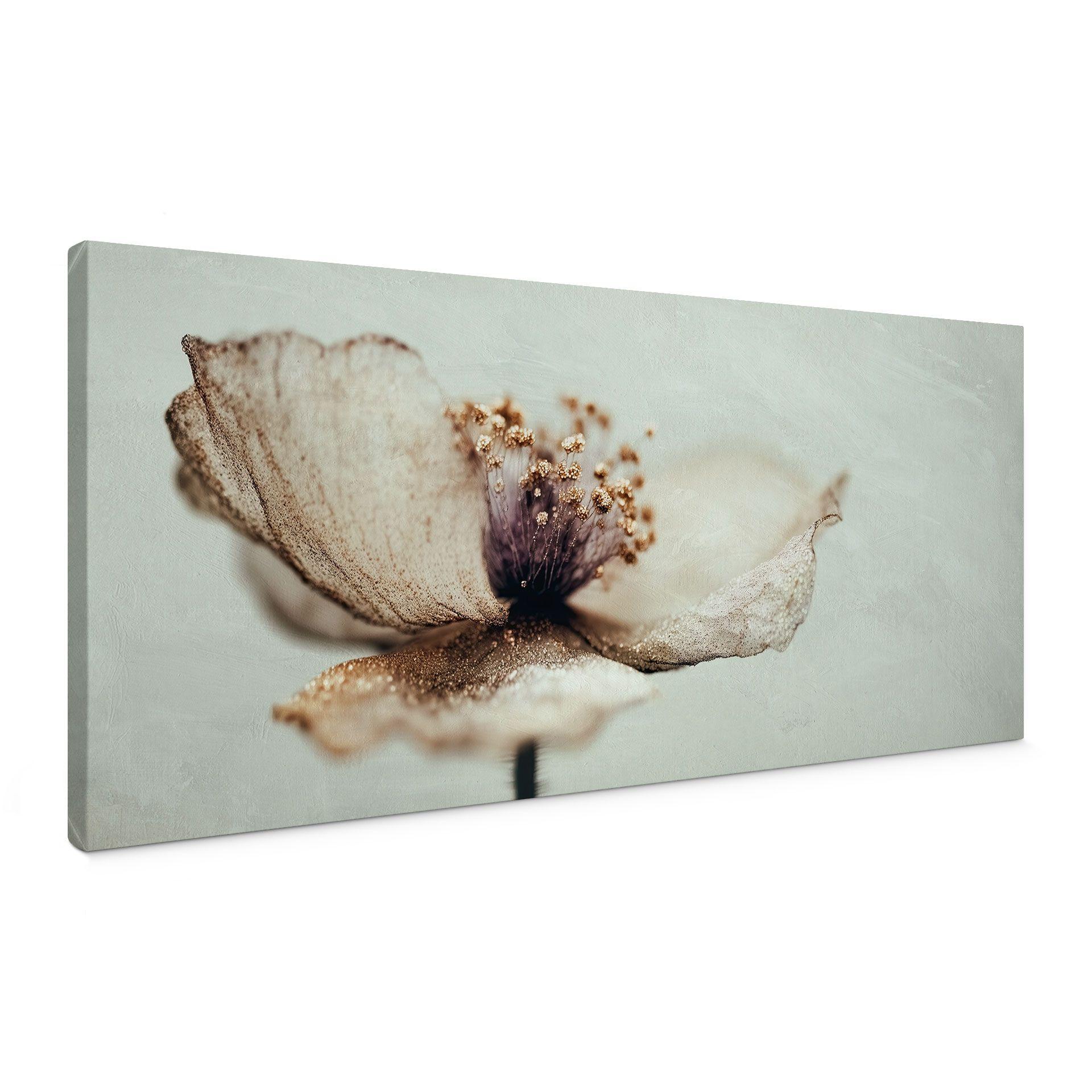 Cuadro Lienzo Delicada flor seca en beige | Arte floral boho - Treechild - Panorama