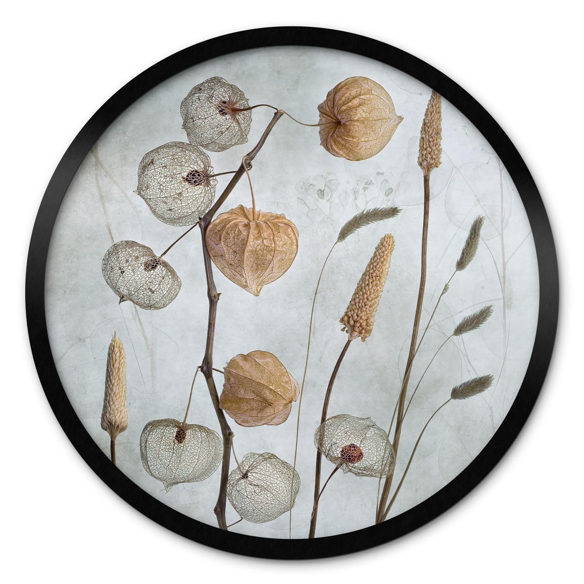 Plakat Tørrede lanterneblomster - Disher