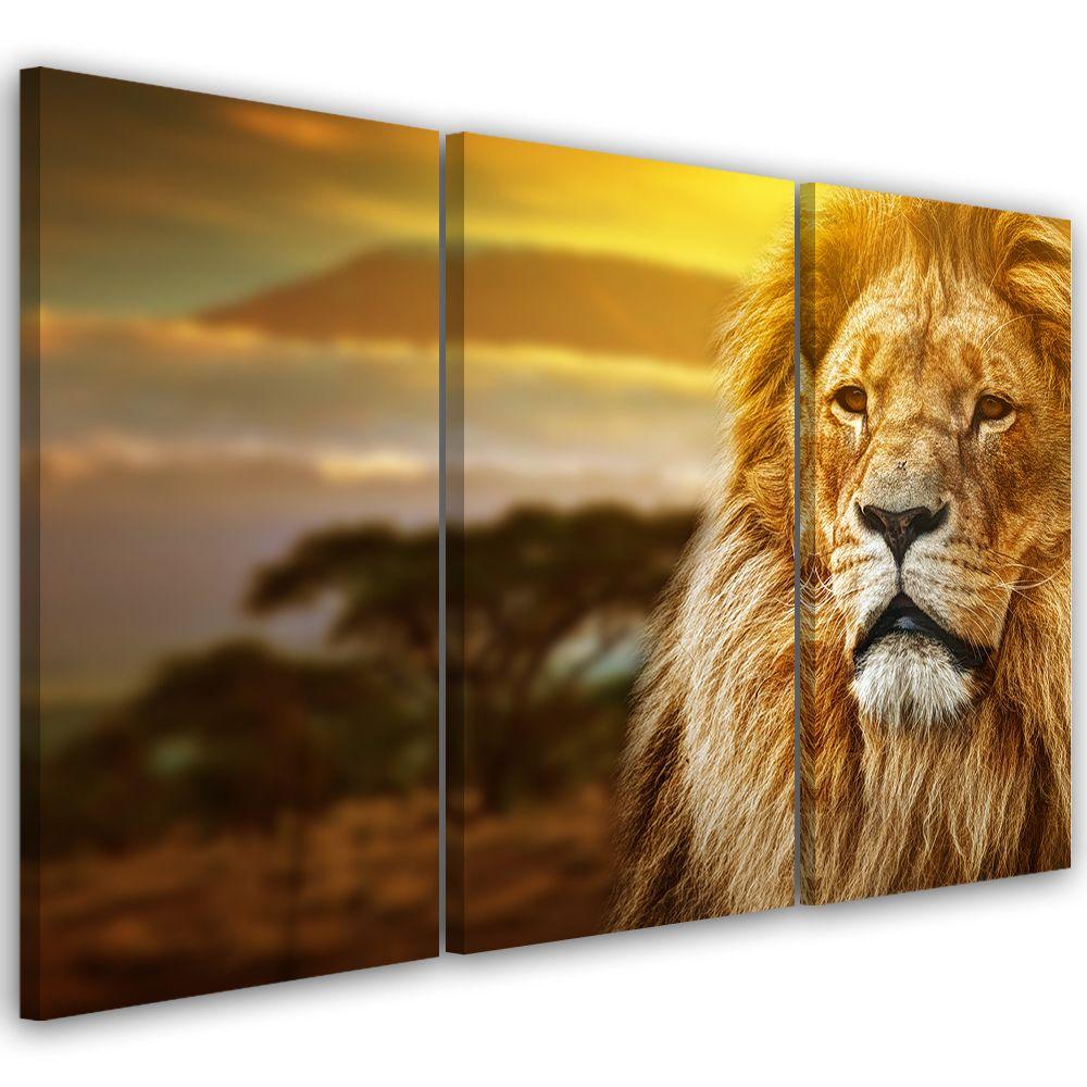 3 stykke lærredstryk, Lion Africa Savannah Landscape