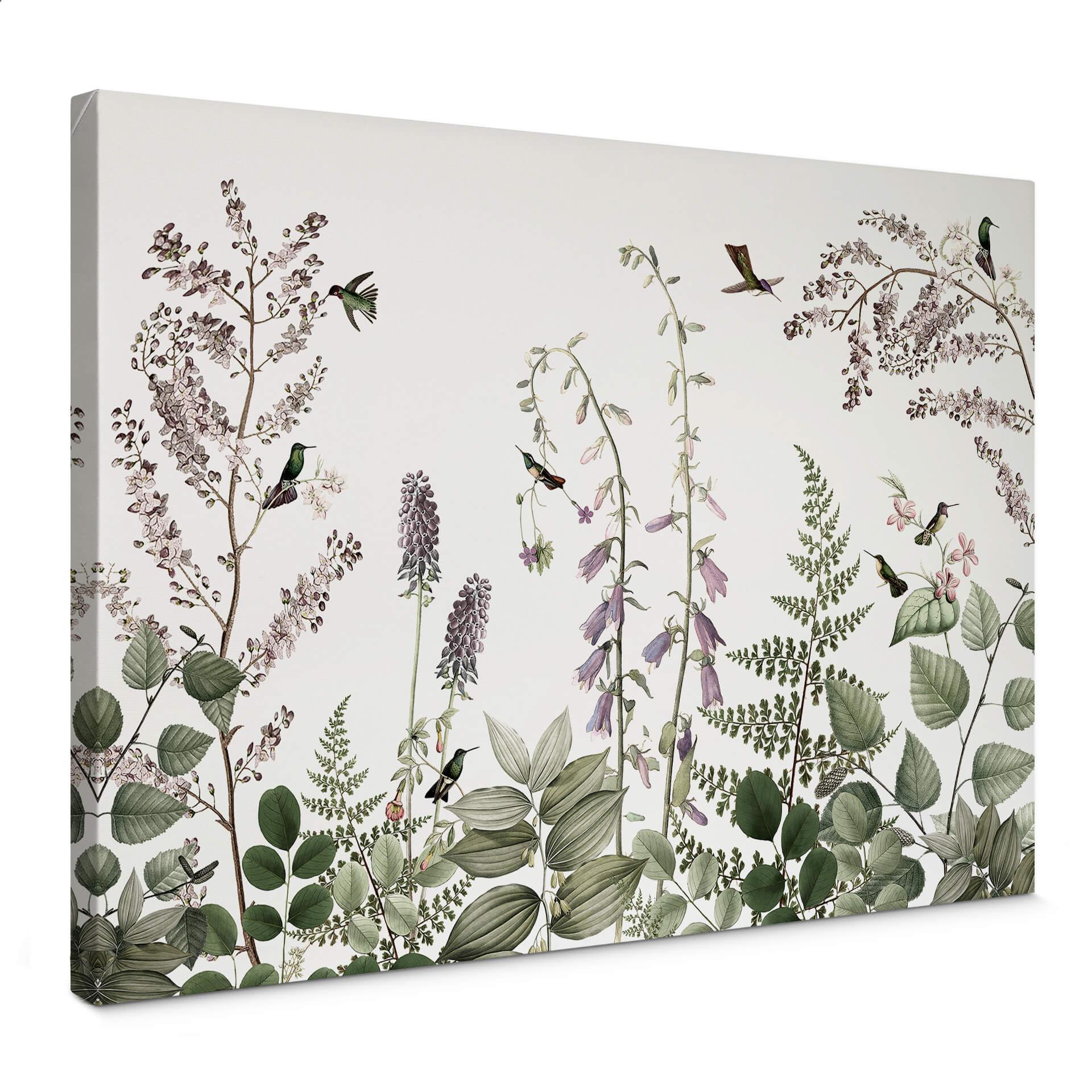 Lienzo Sir Edward - Colibríes en el jardín