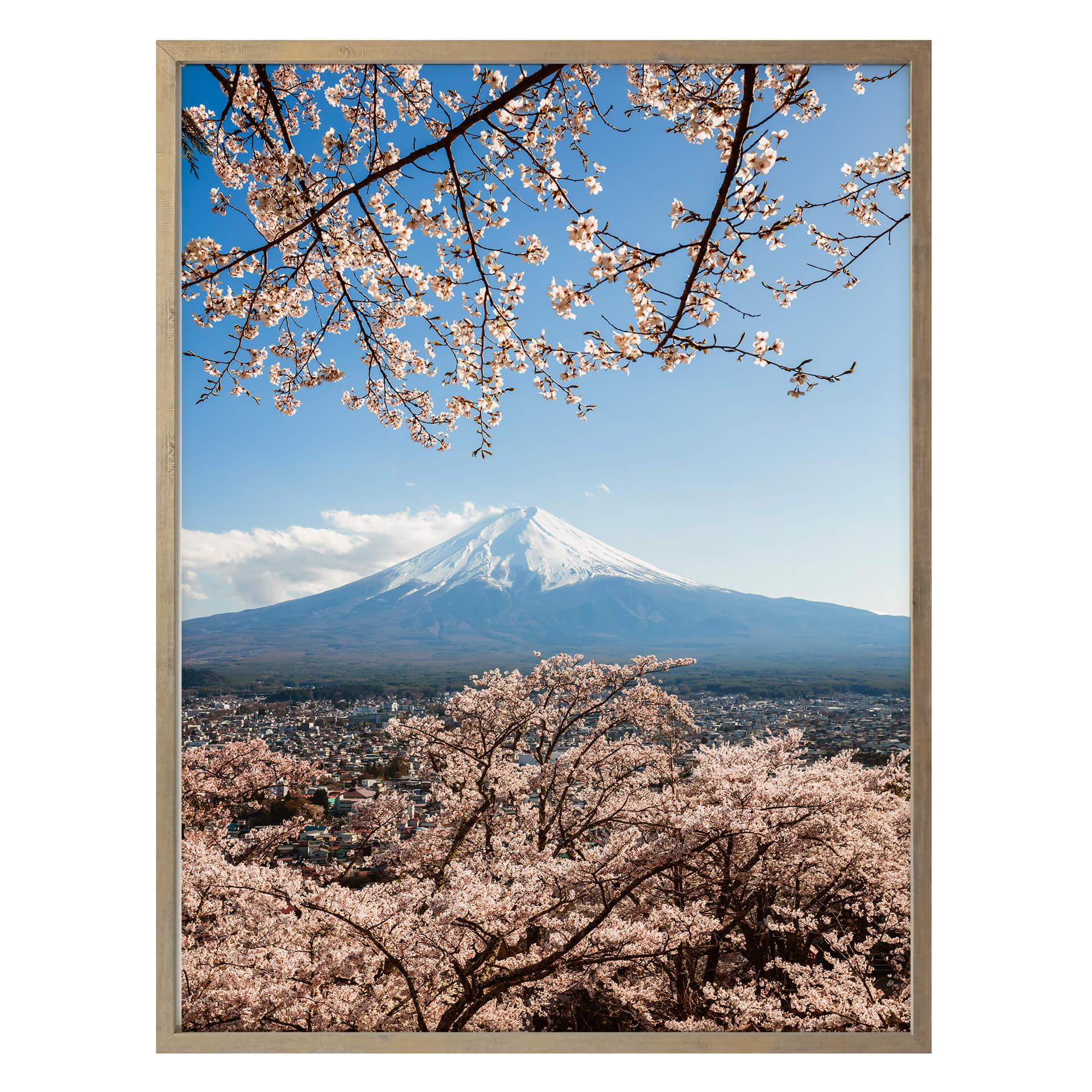Póster Colombo - Monte Fuji en Japón