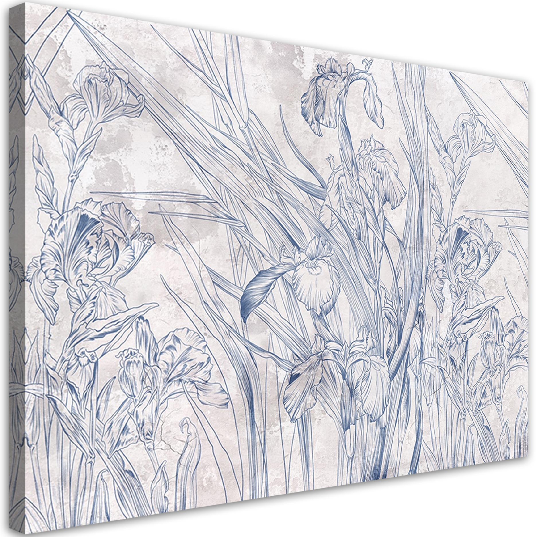Canvasbillede, Irys blomster blå